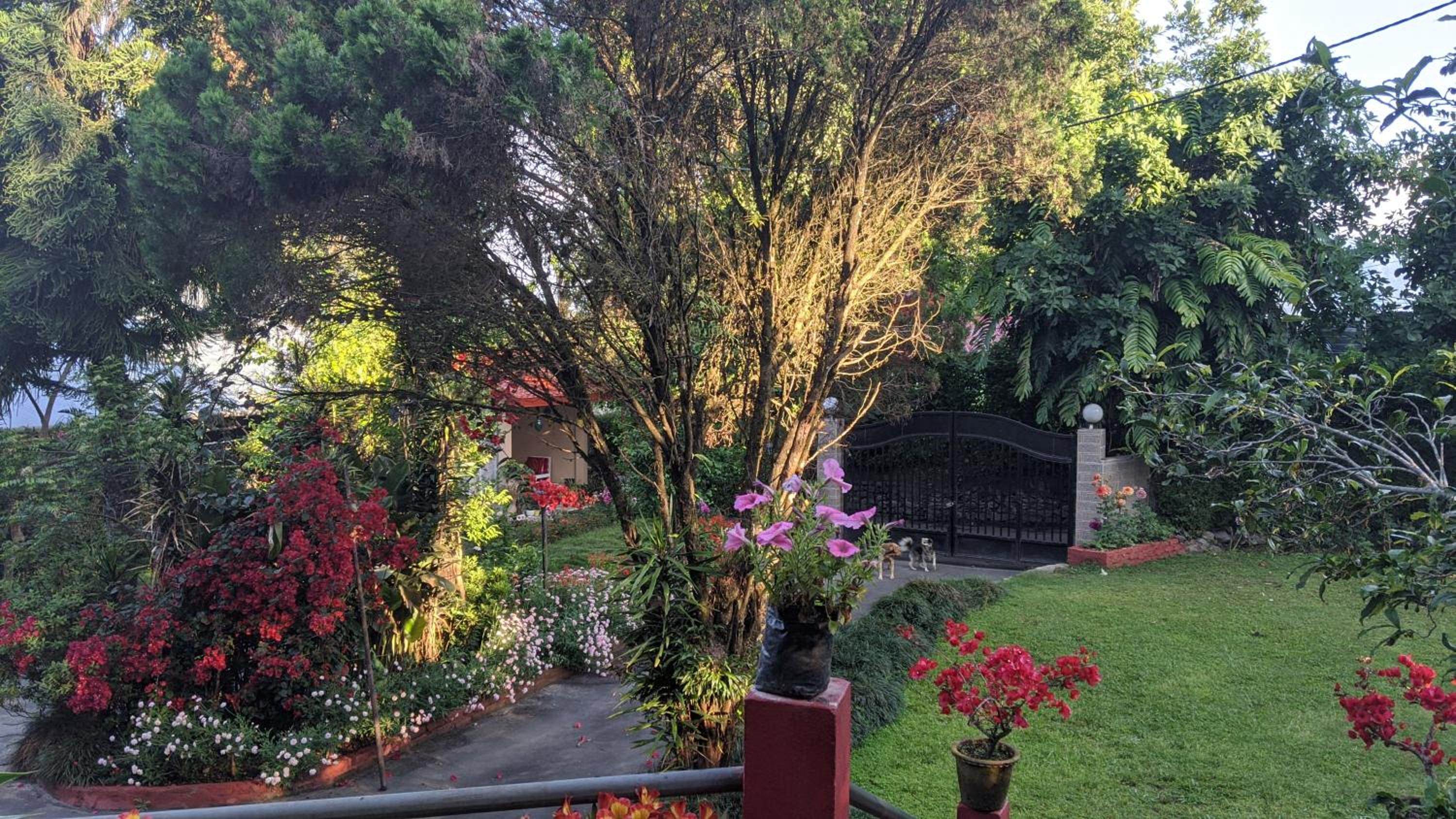 Shikher Guest House