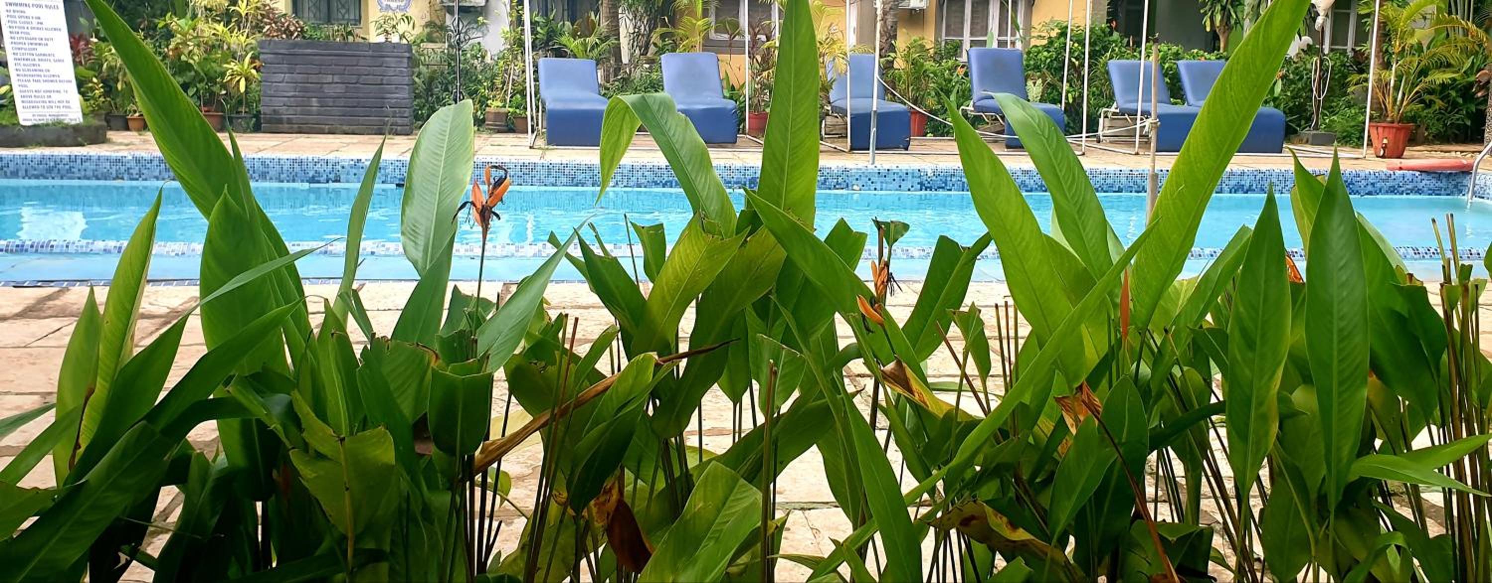 CALANGUTE BEACH VILLA # 3BHk # POOL # KITCHEN # 300MTS TO BEACH by GR Stays view 3