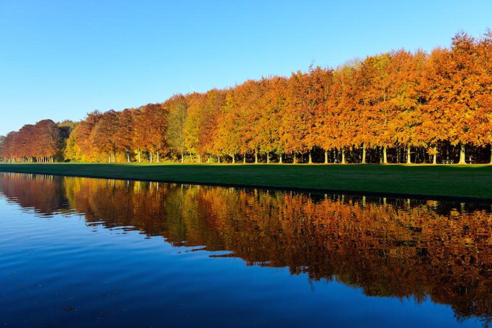 African heritage Tervuren