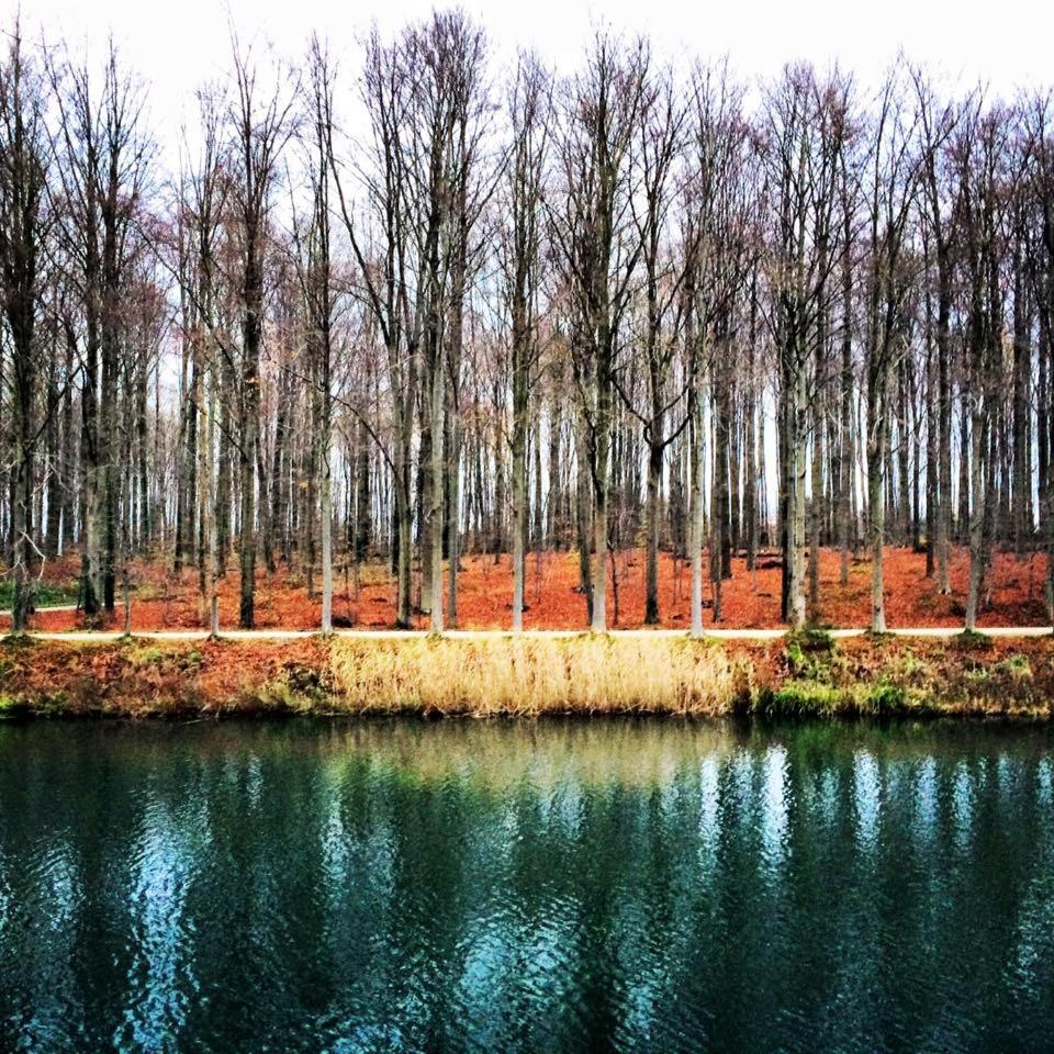 African heritage Tervuren