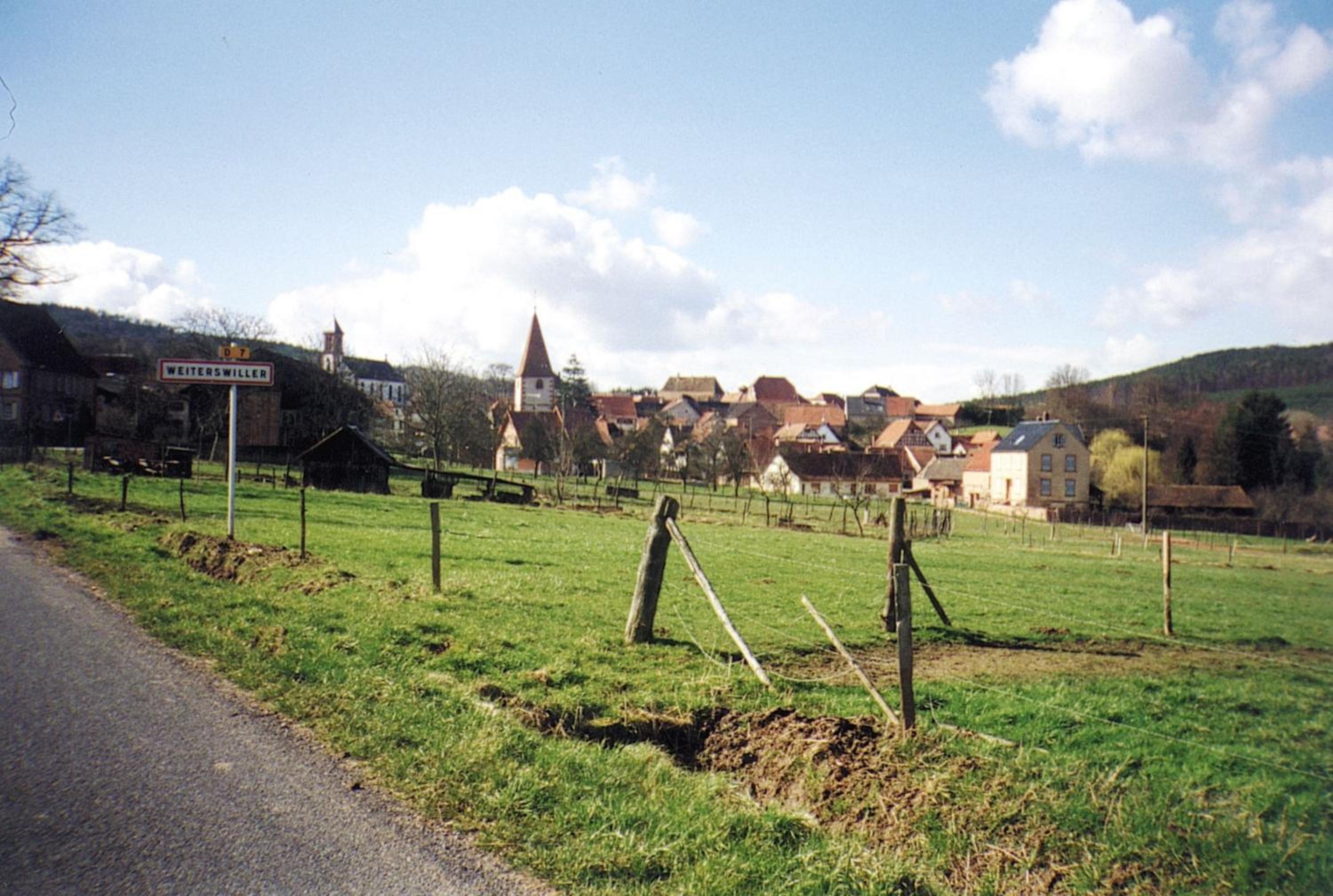 Photo 11