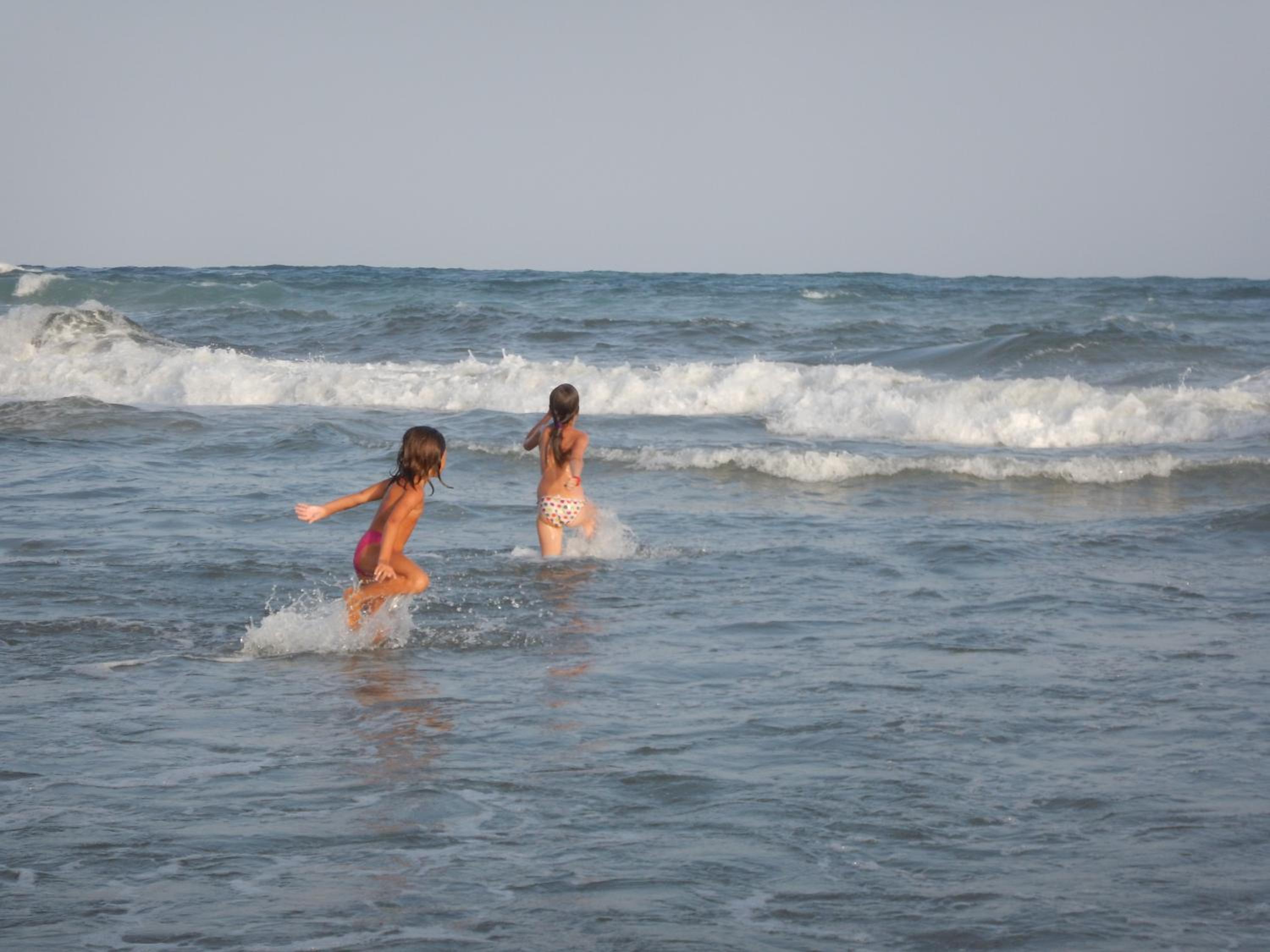Photo 44