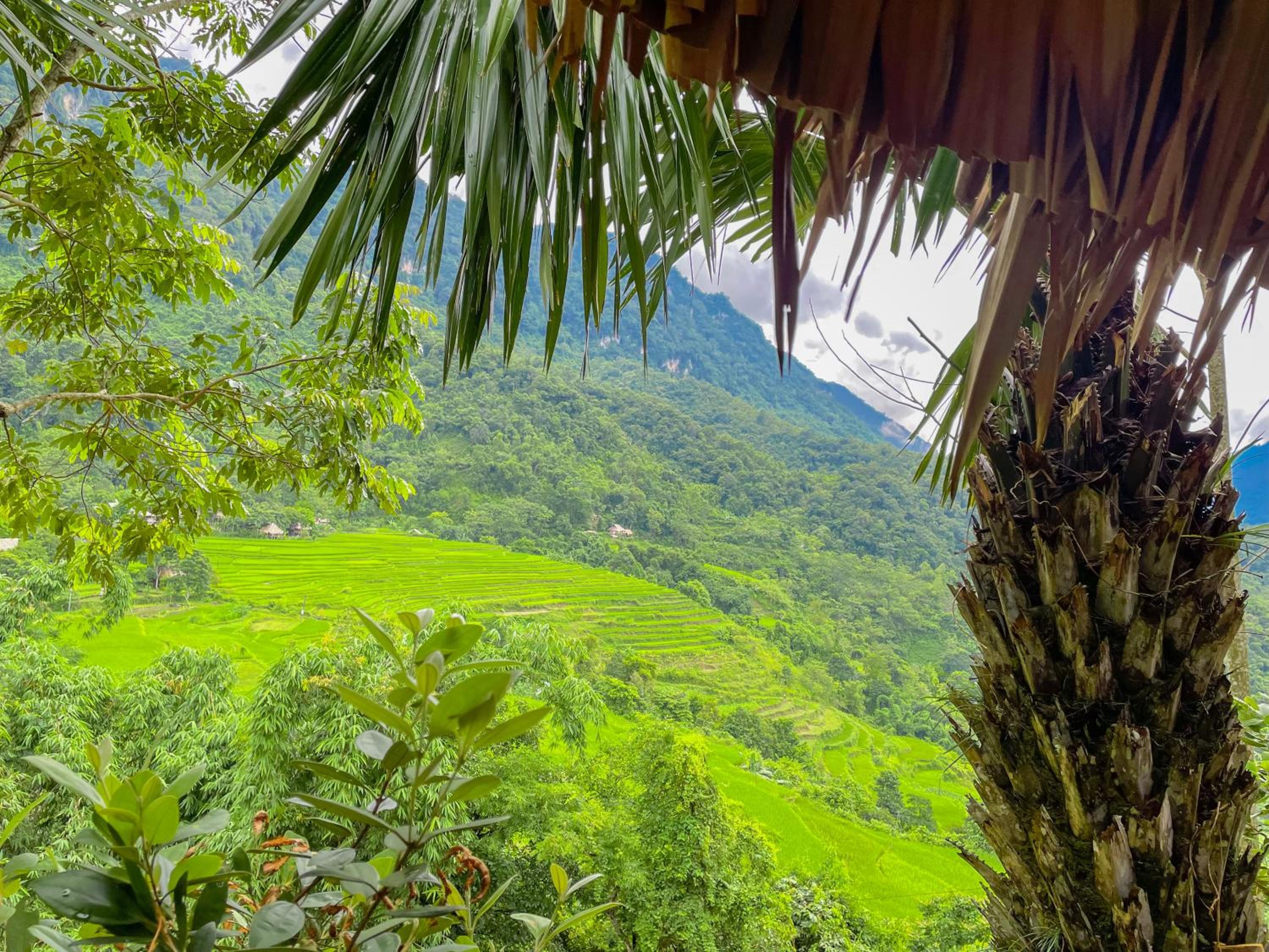 Pu Luong - Duy Phuong Homestay