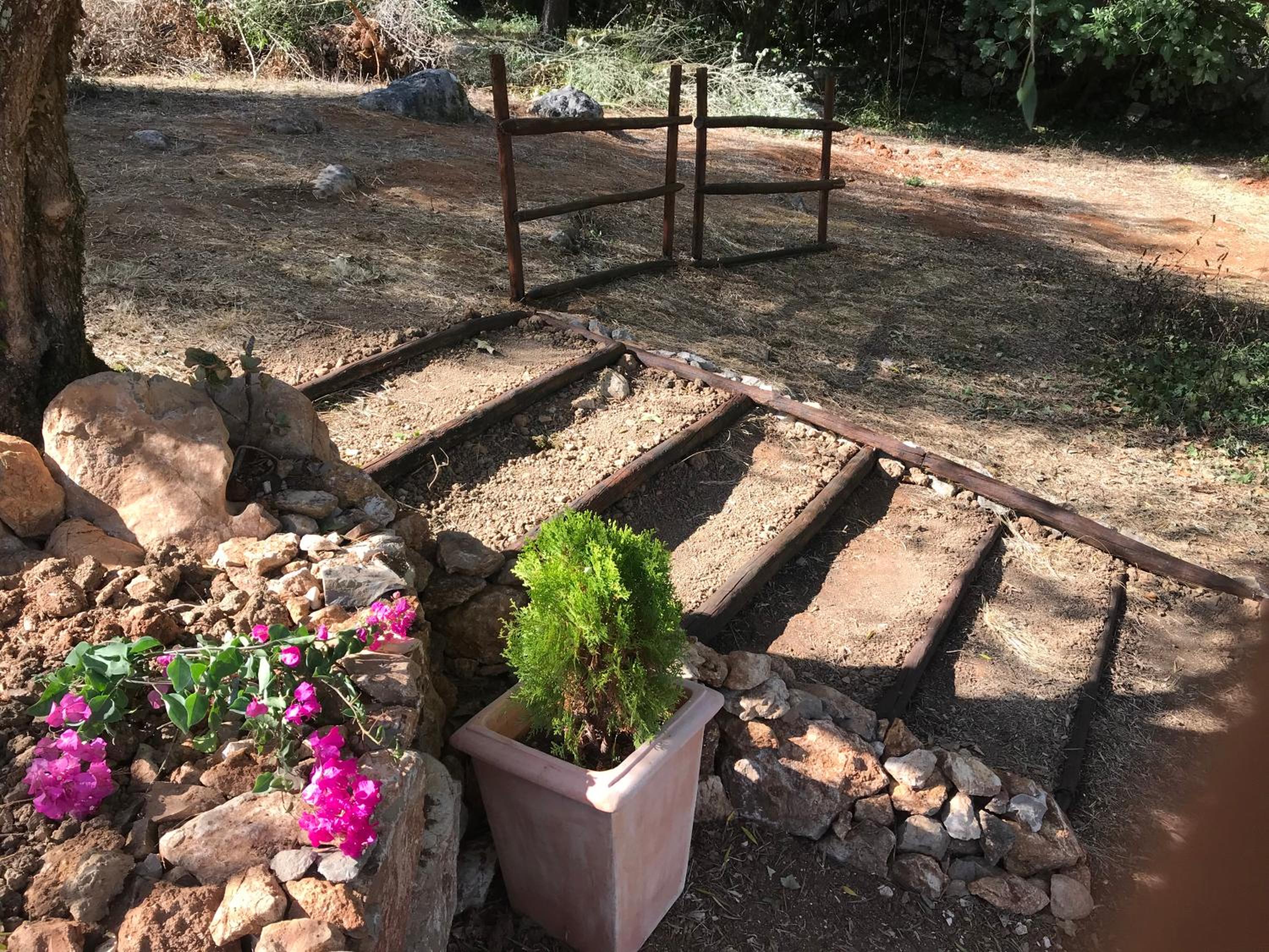 Photo 18