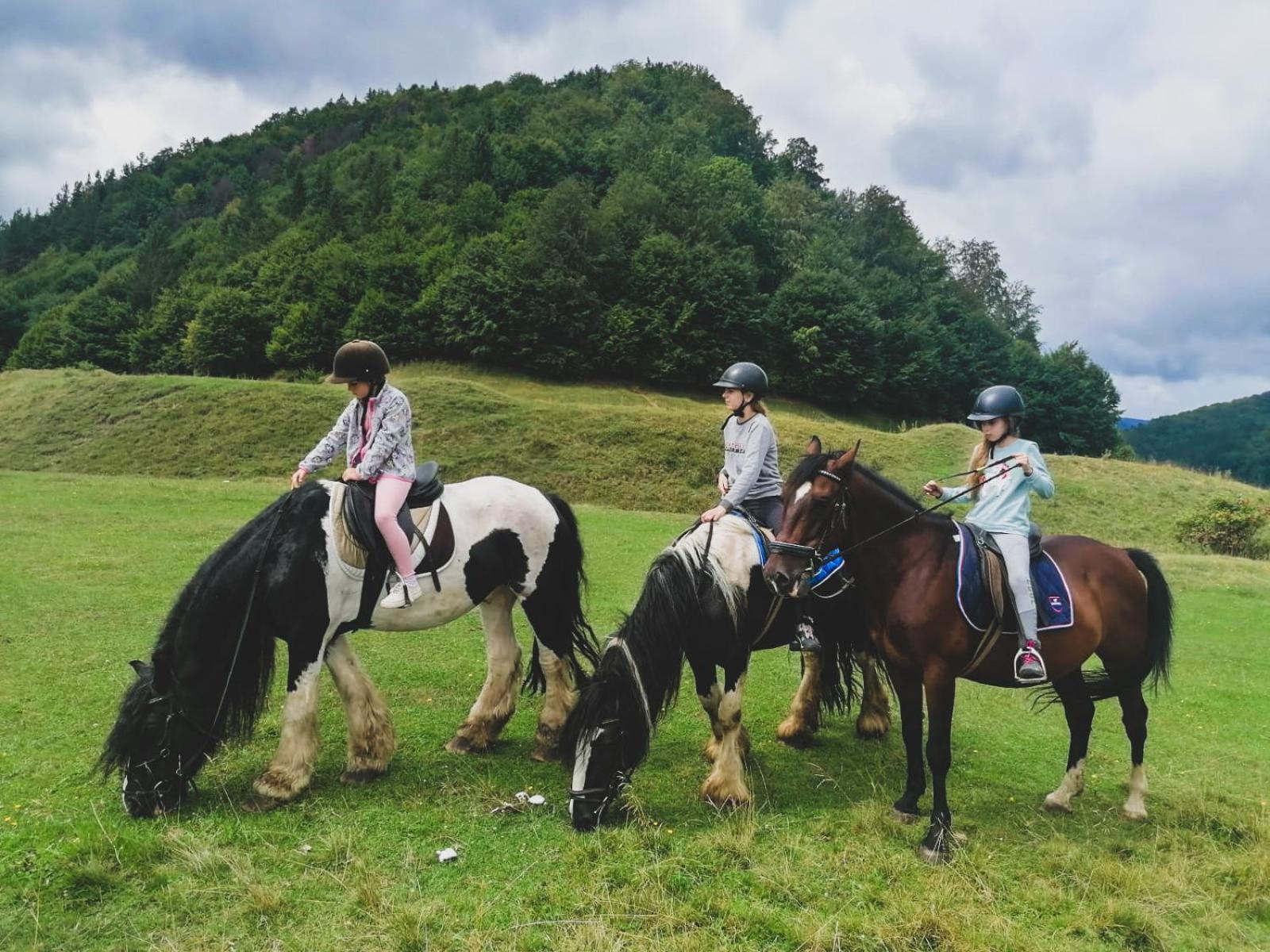 Glamping Iurte Mongole Spiritul Zimbrului