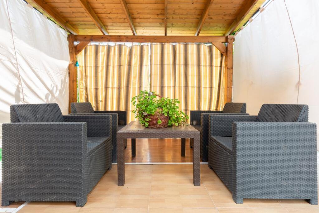 Casita entre naranjas