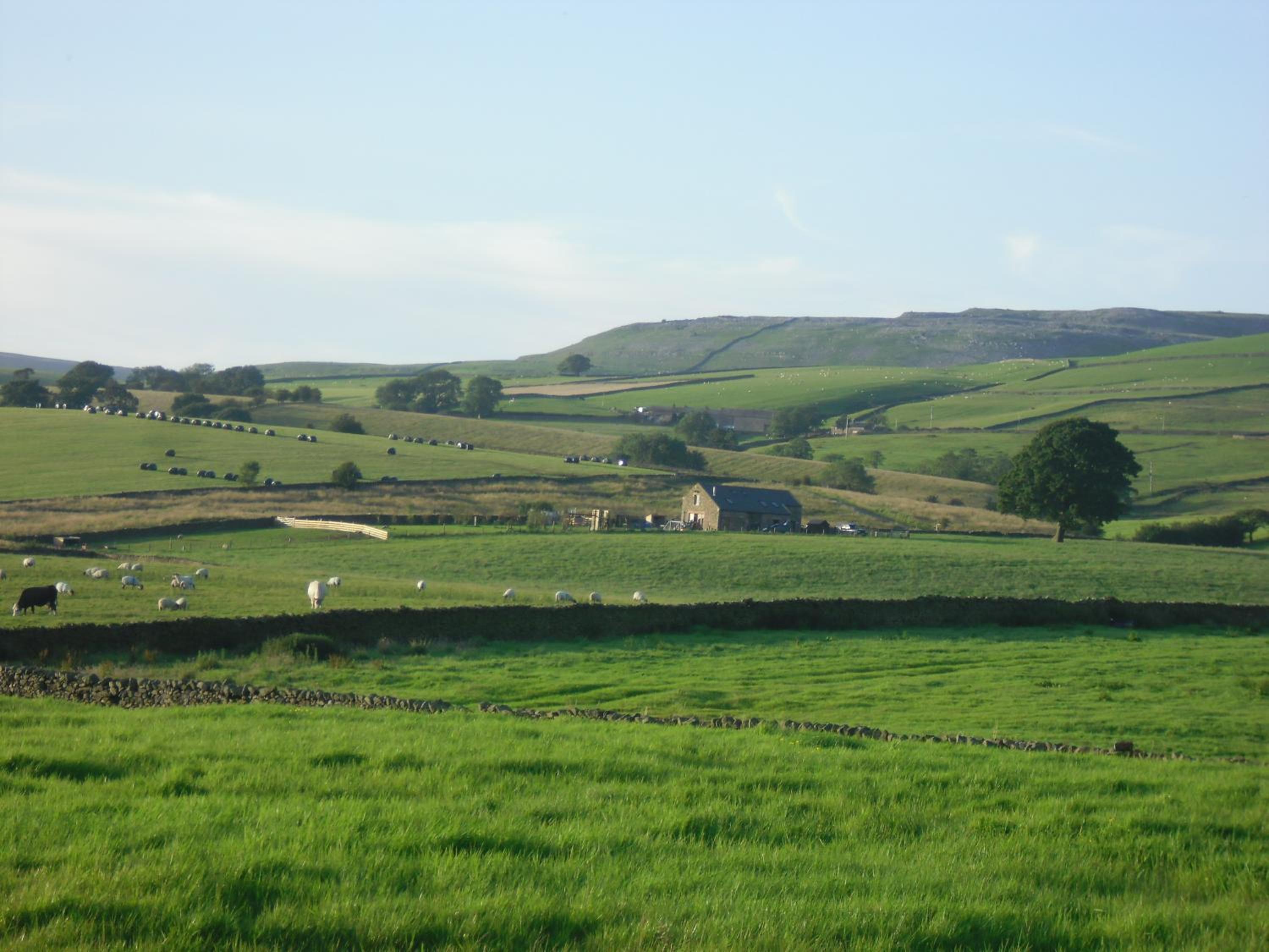 Moor View, fotografía 4