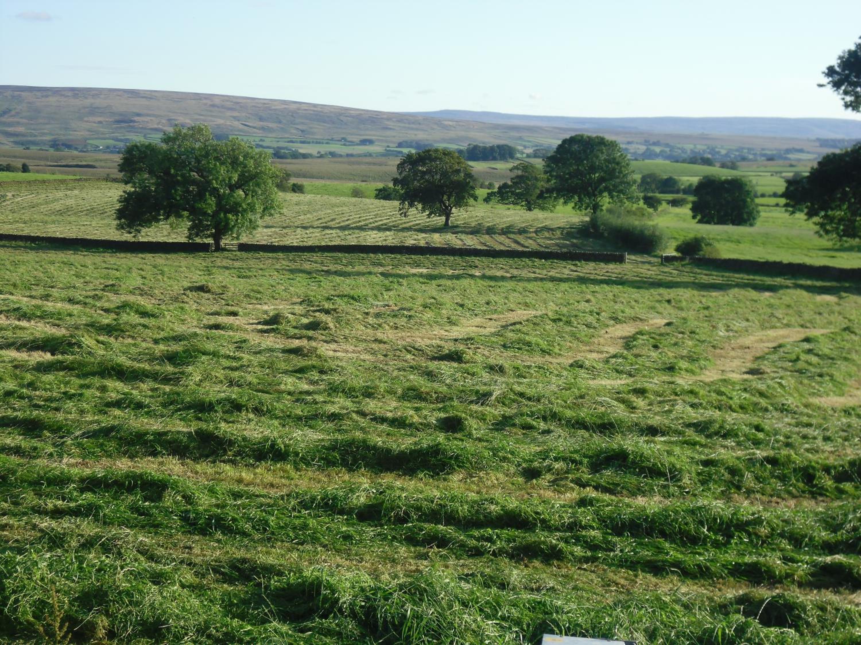 Moor View 29