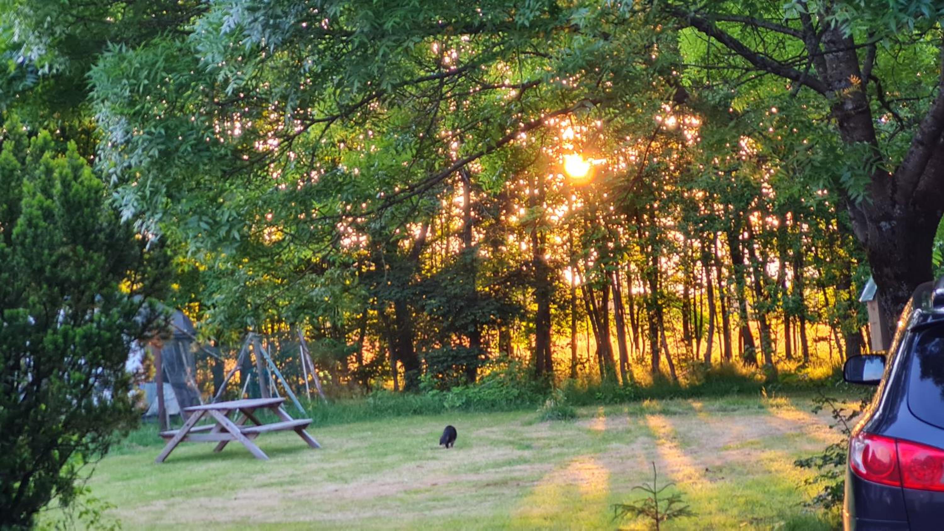 Ferienwohnung Ollywood, Natur pur im Westerwald, 2 bis 4 Personen