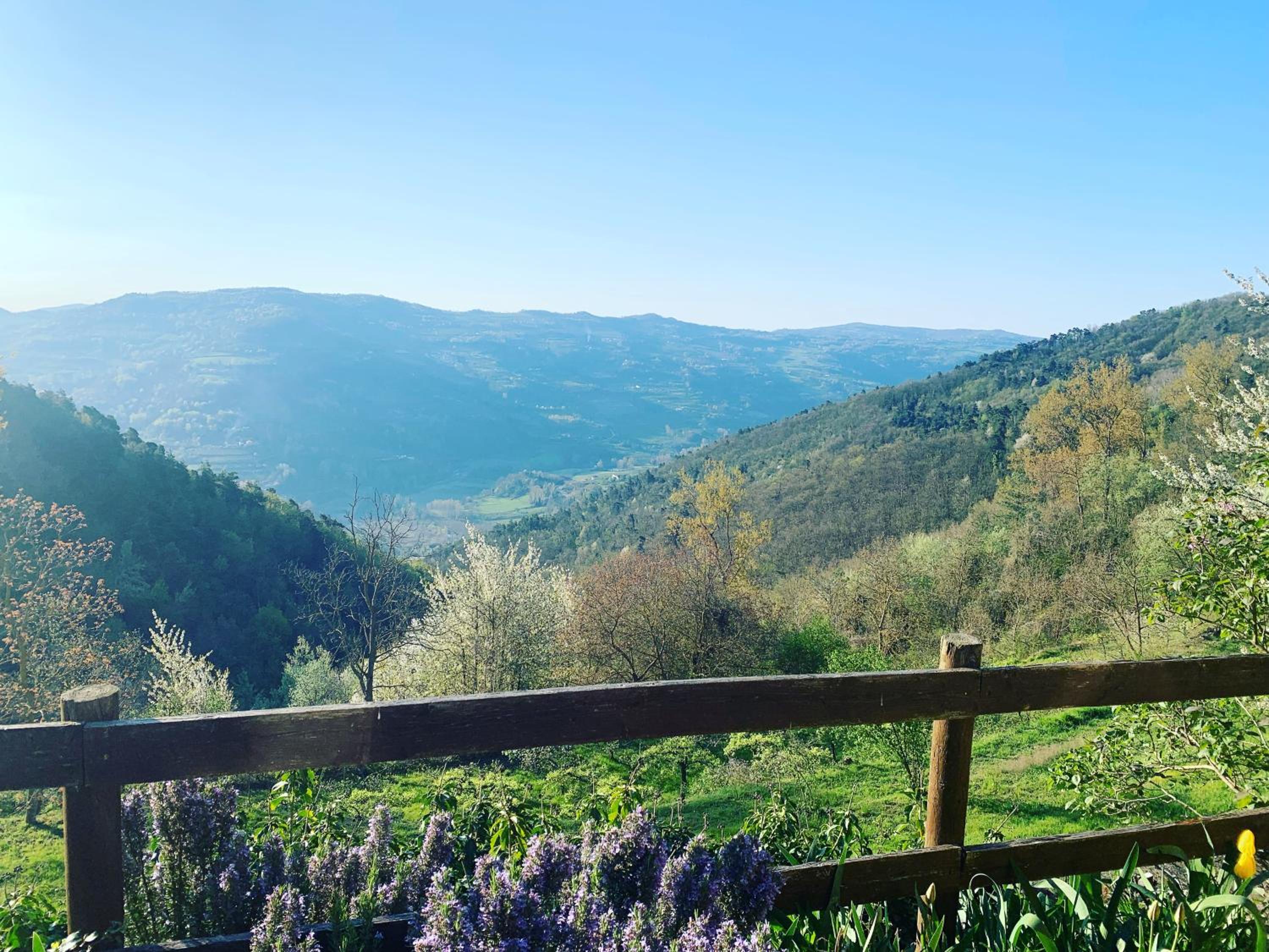 Agriturismo La Collina degli Scoiattoli