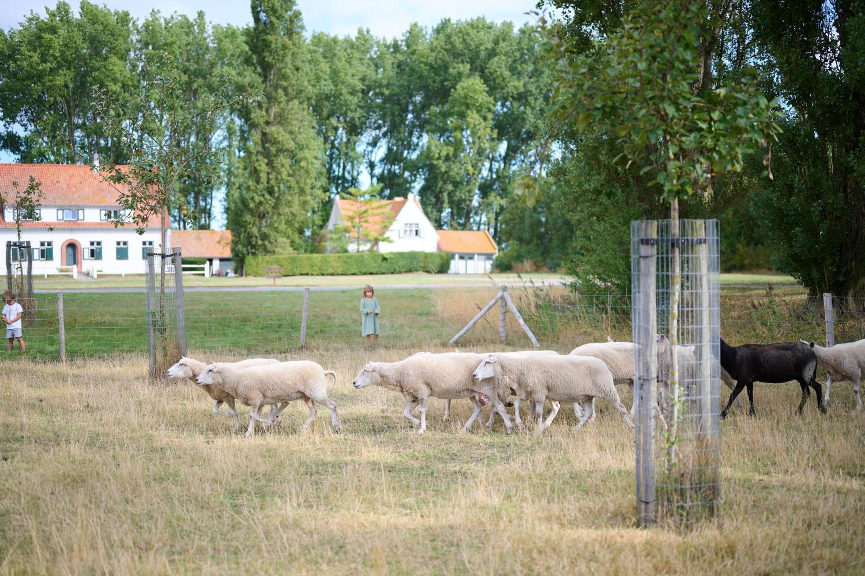 La Compagnie des Moëres