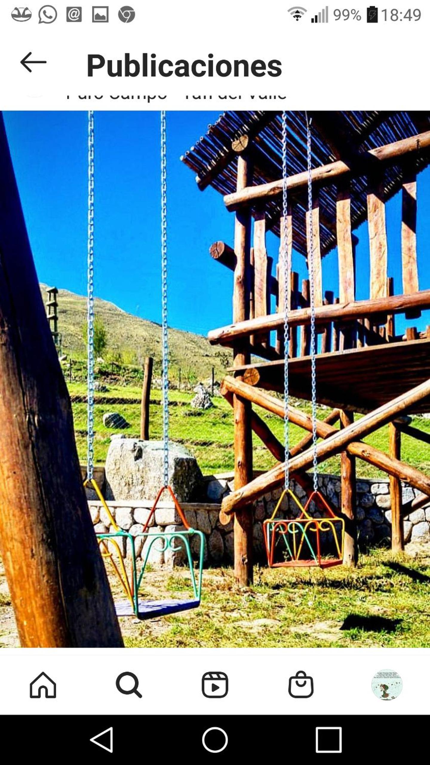 Puro Campo