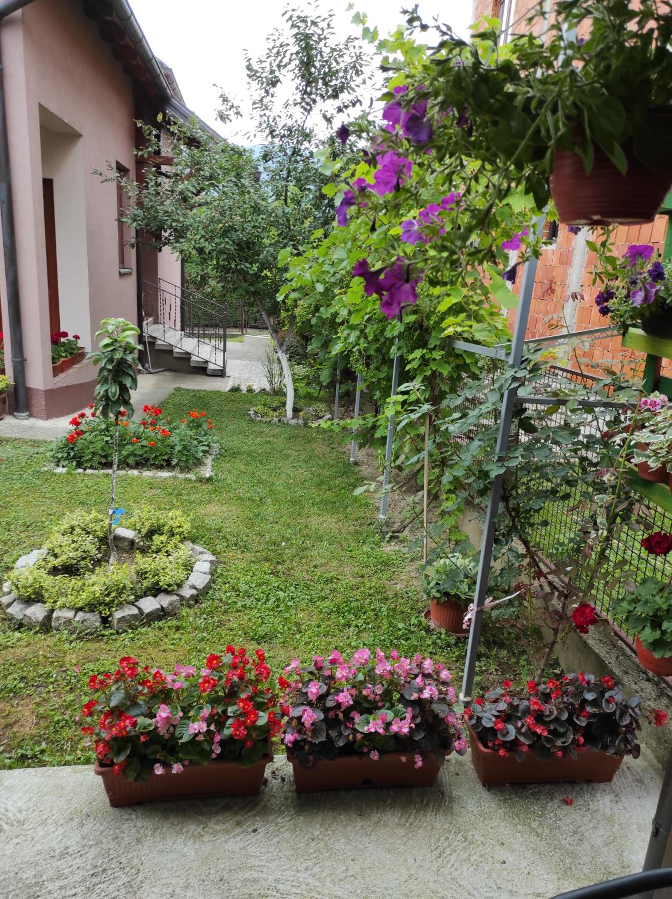 Photo 46