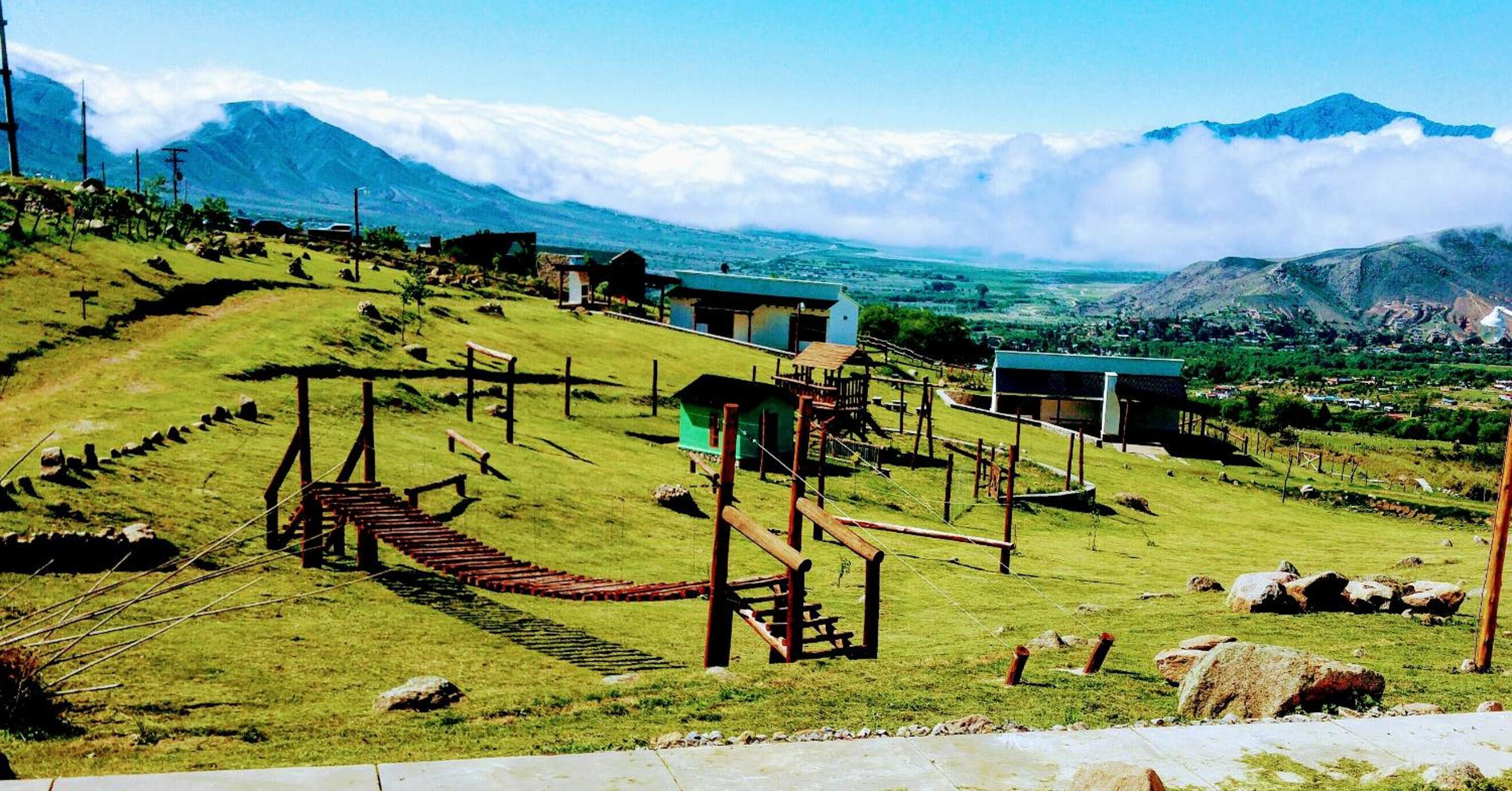 Puro Campo