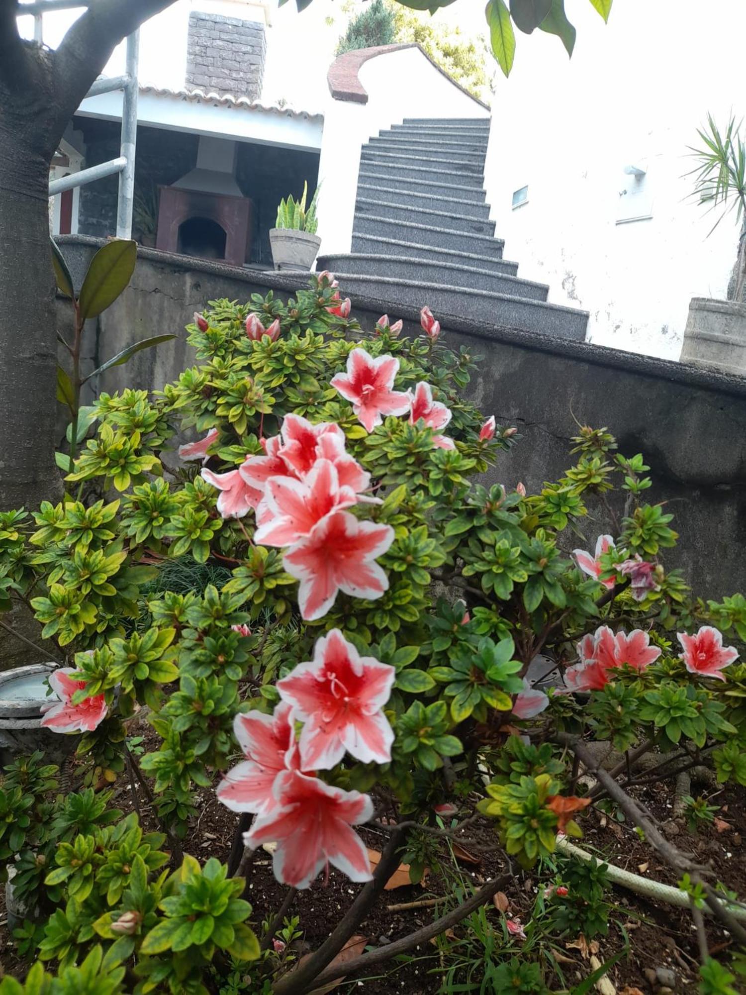 Photo 32