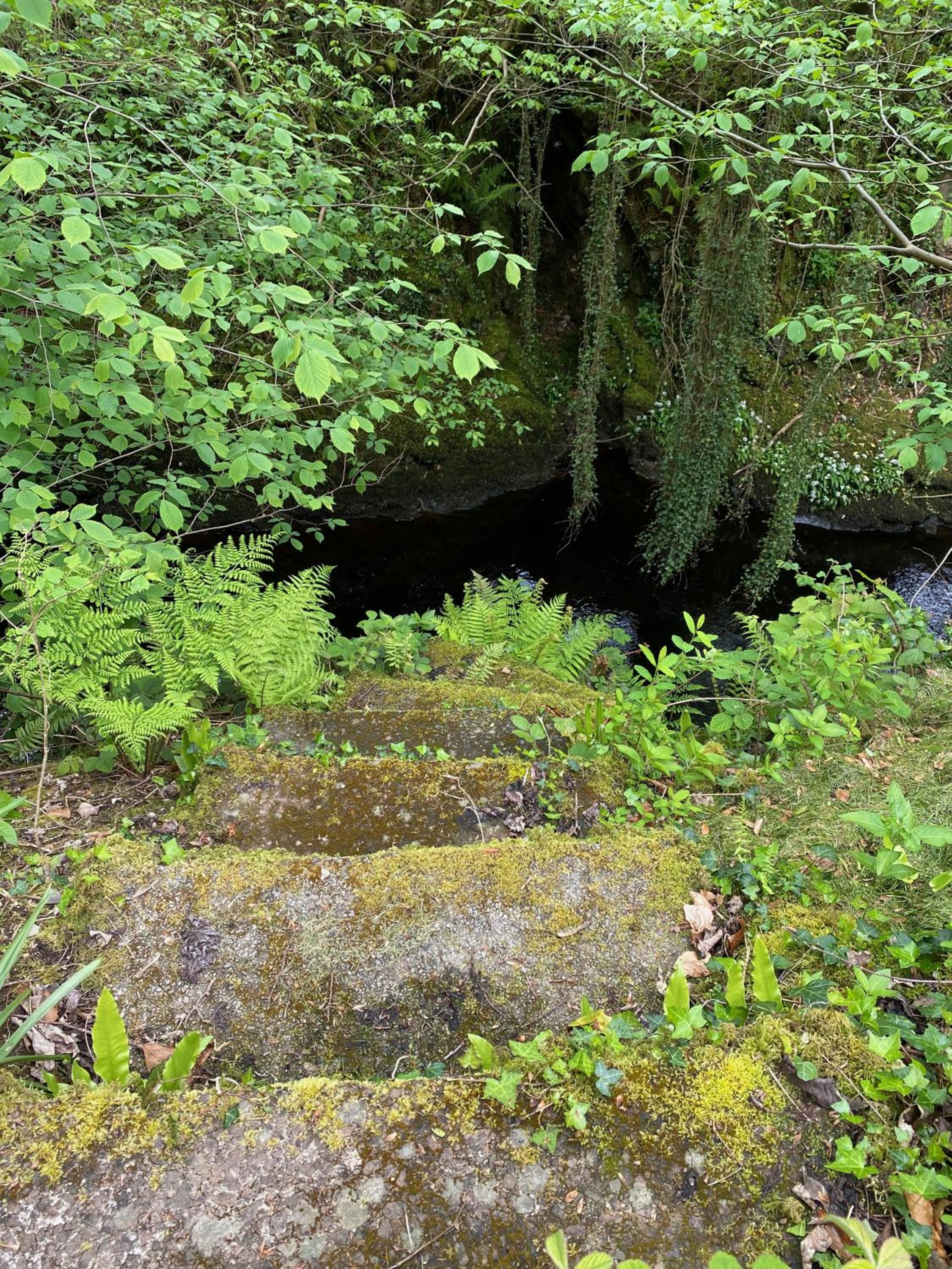 Photo 47