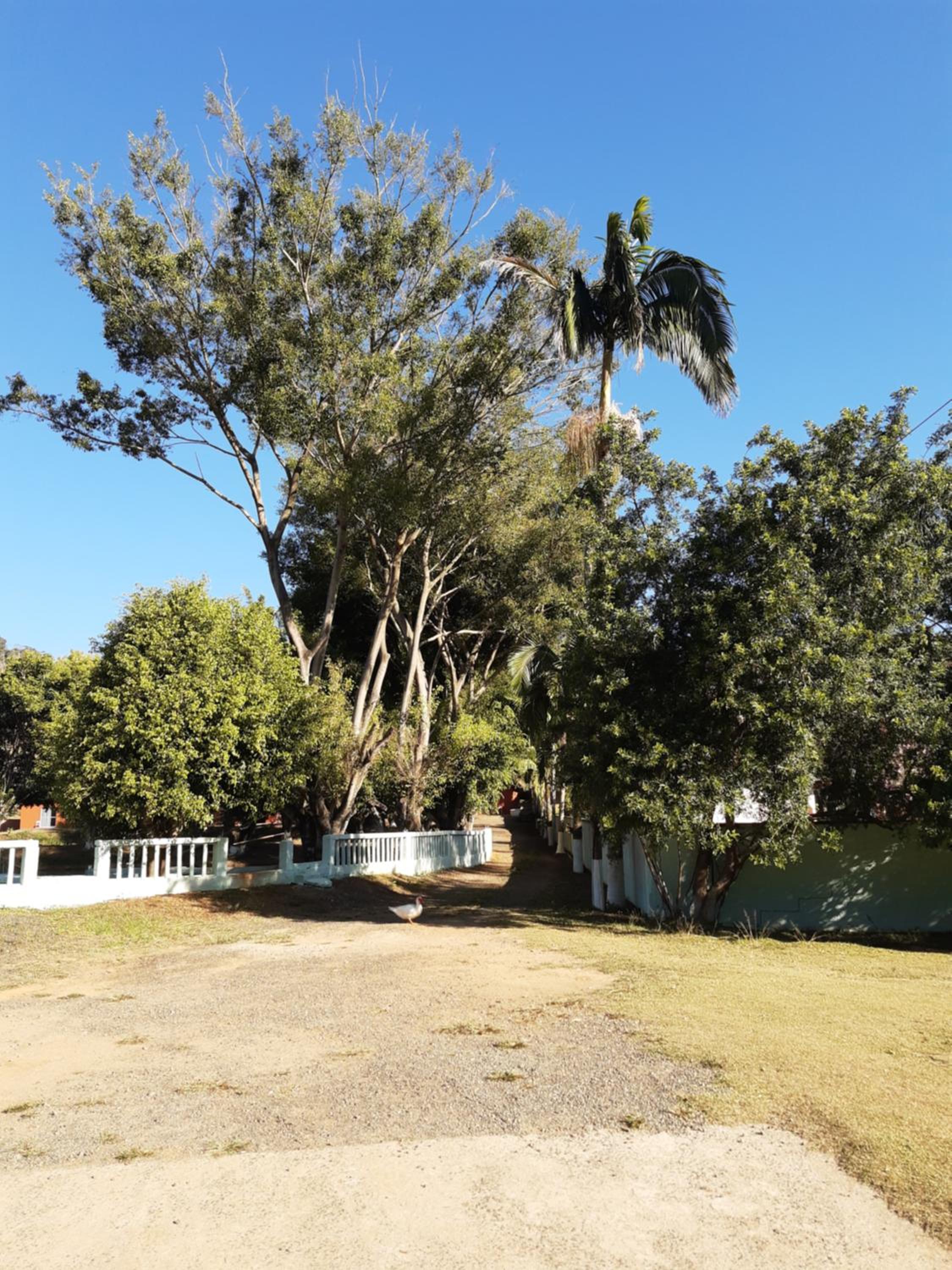 Pousada Recanto das Aves view 3