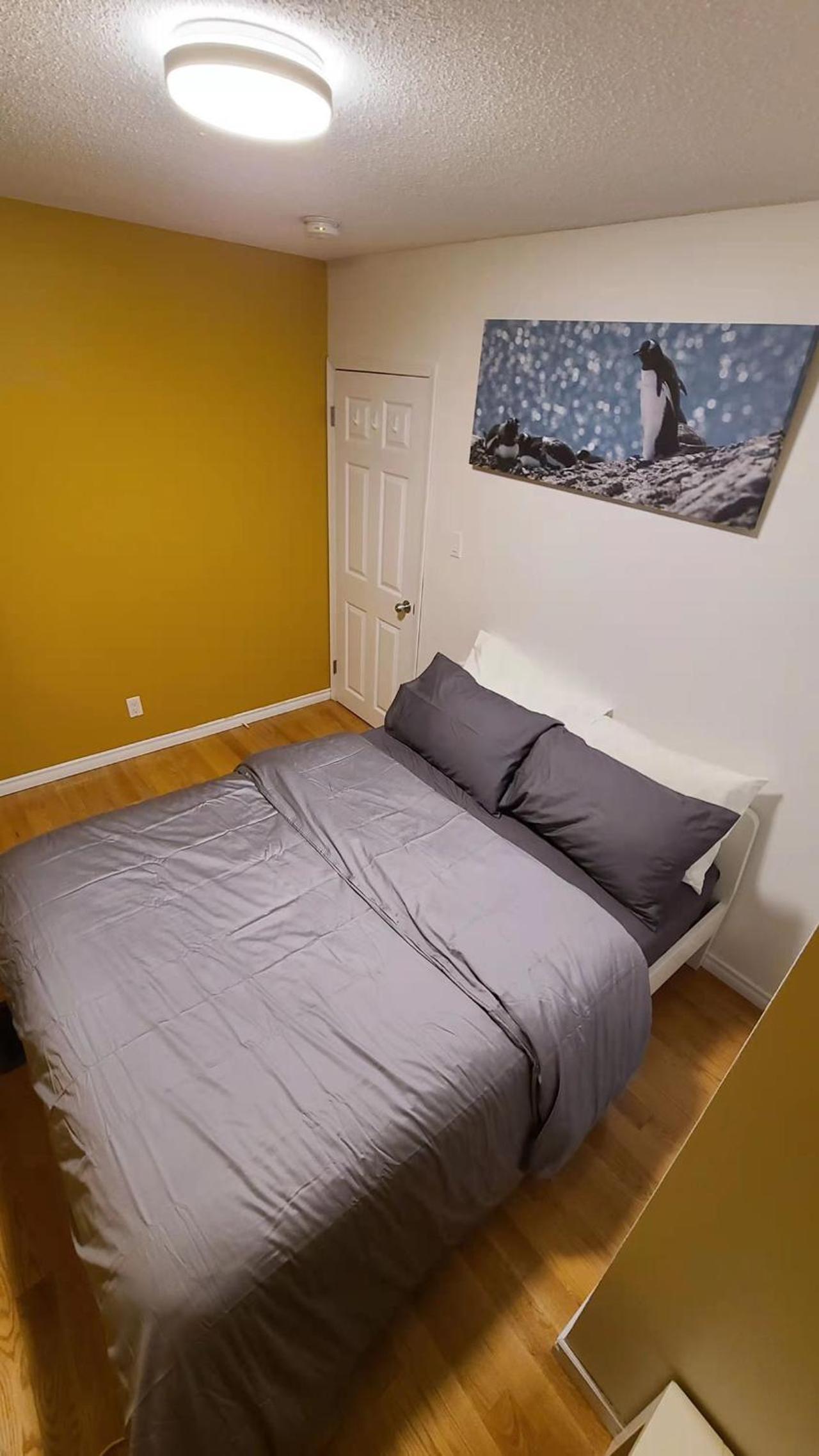 YK Aurora view 5