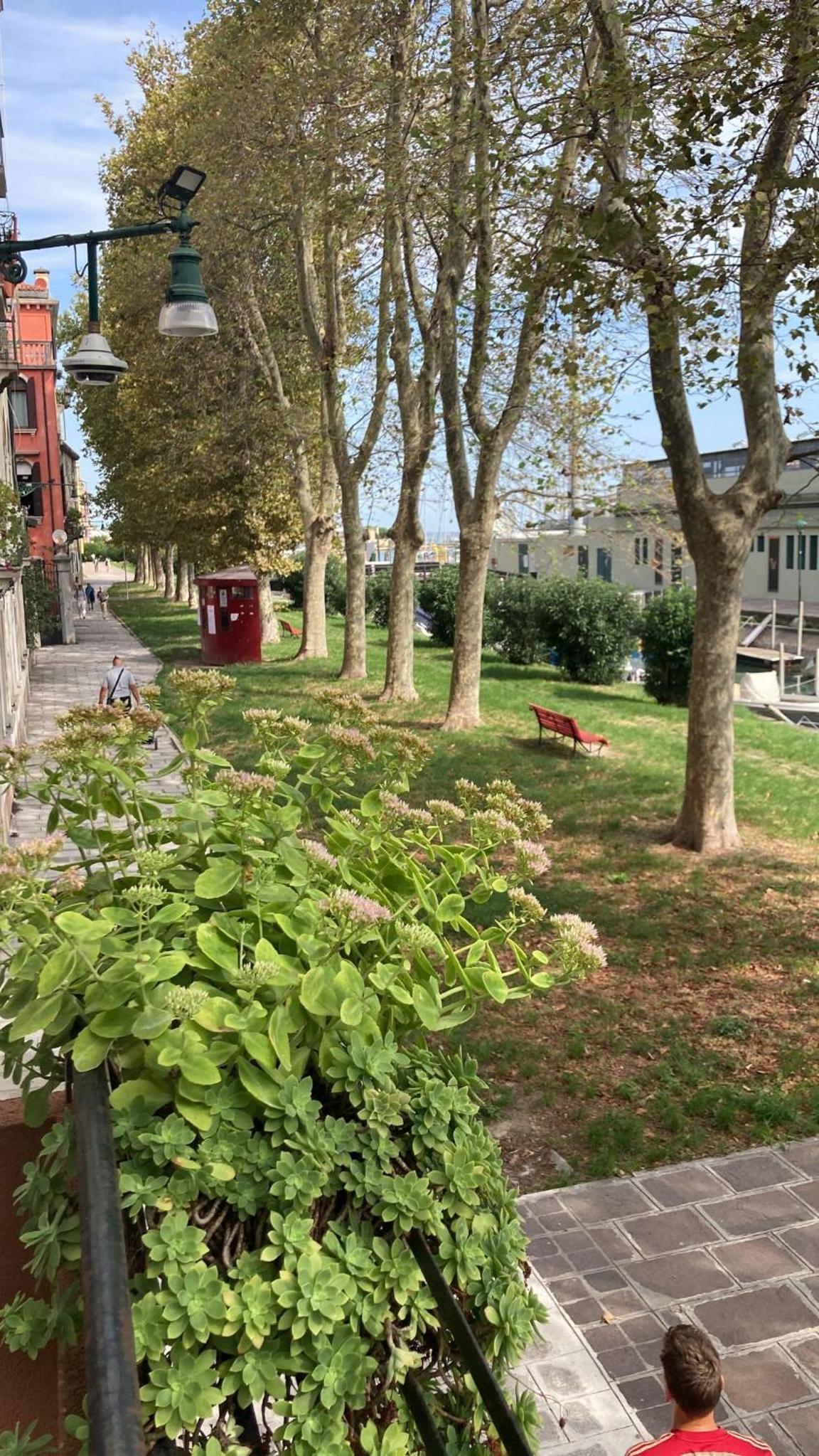 A Casa di Dario
