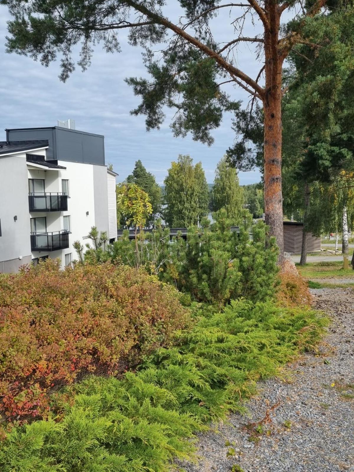 Ellivuori Suite with Sauna and Balcony