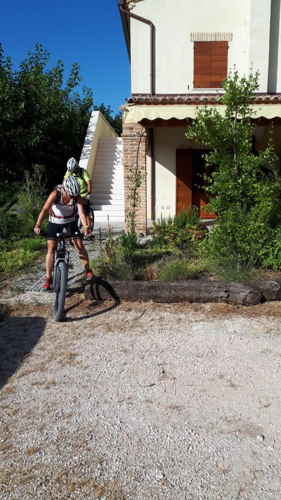 Photo 36