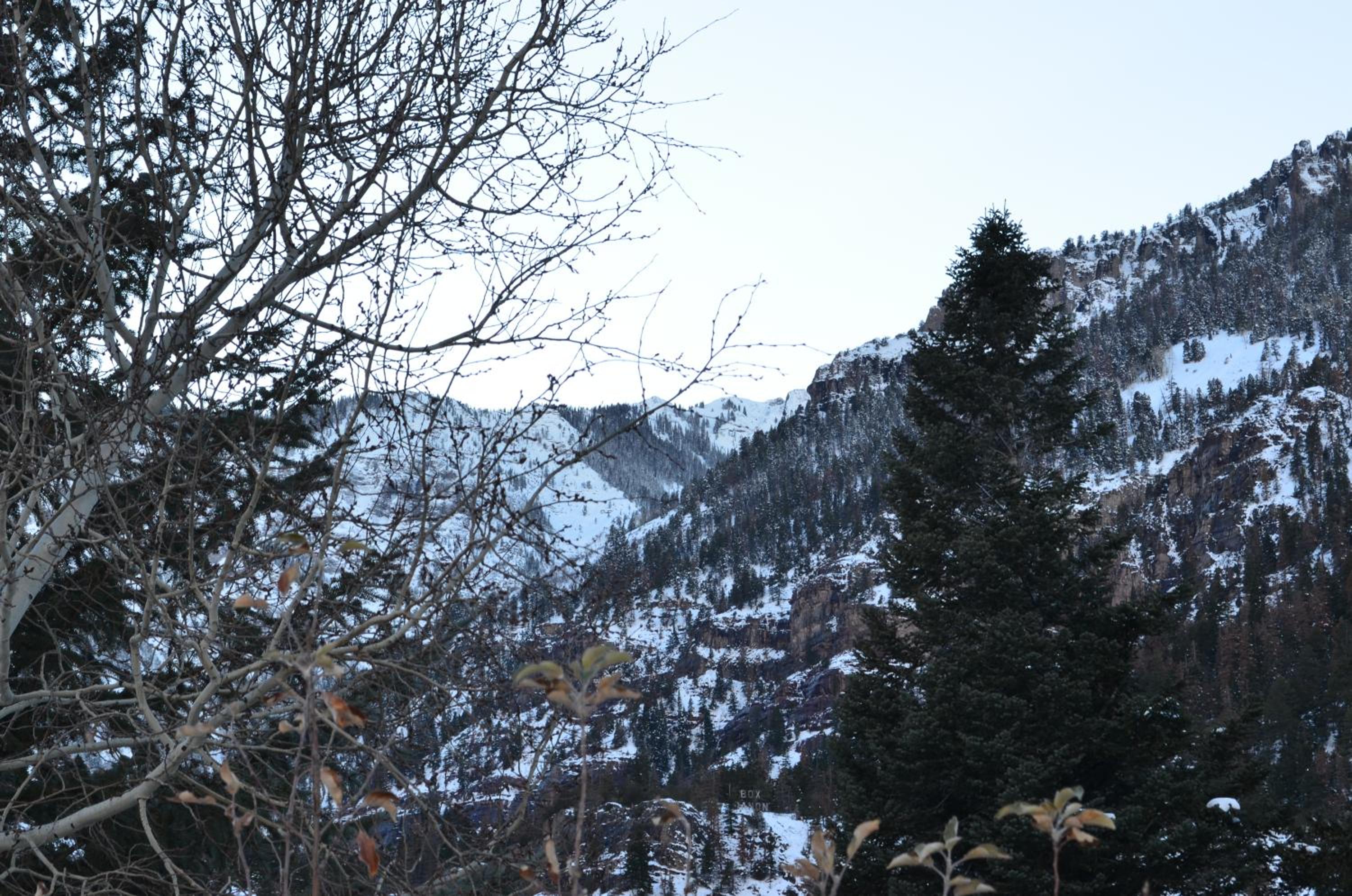 The Ouray Main Street Inn