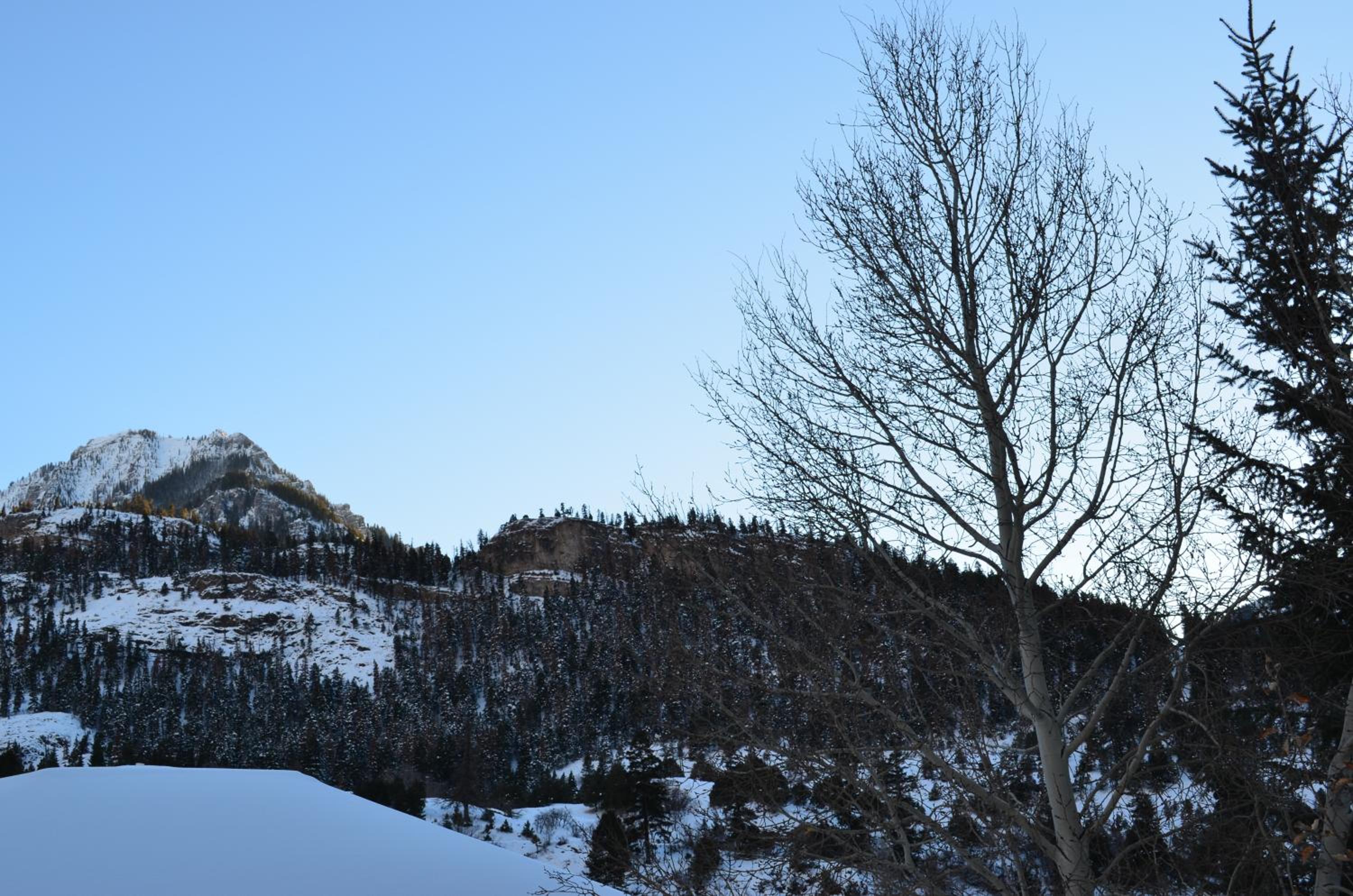 The Ouray Main Street Inn