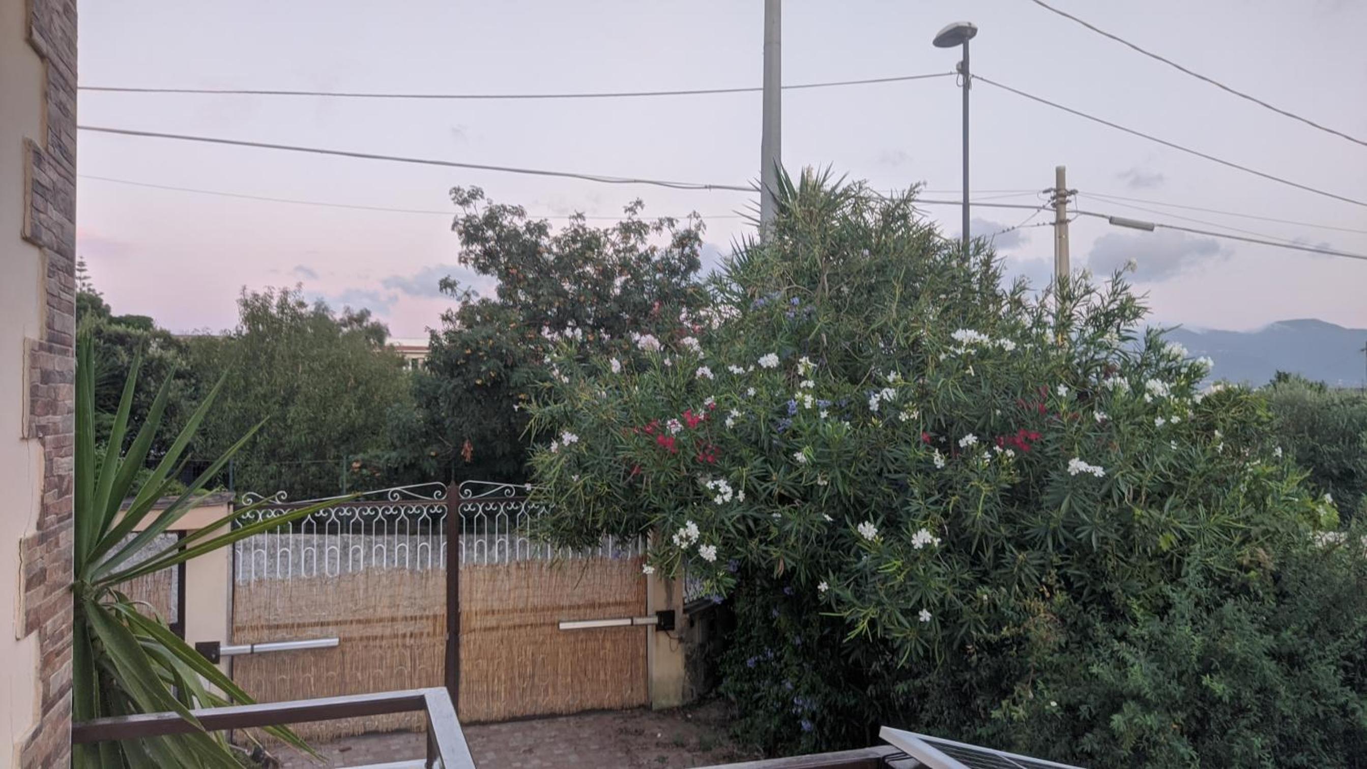 Photo 26