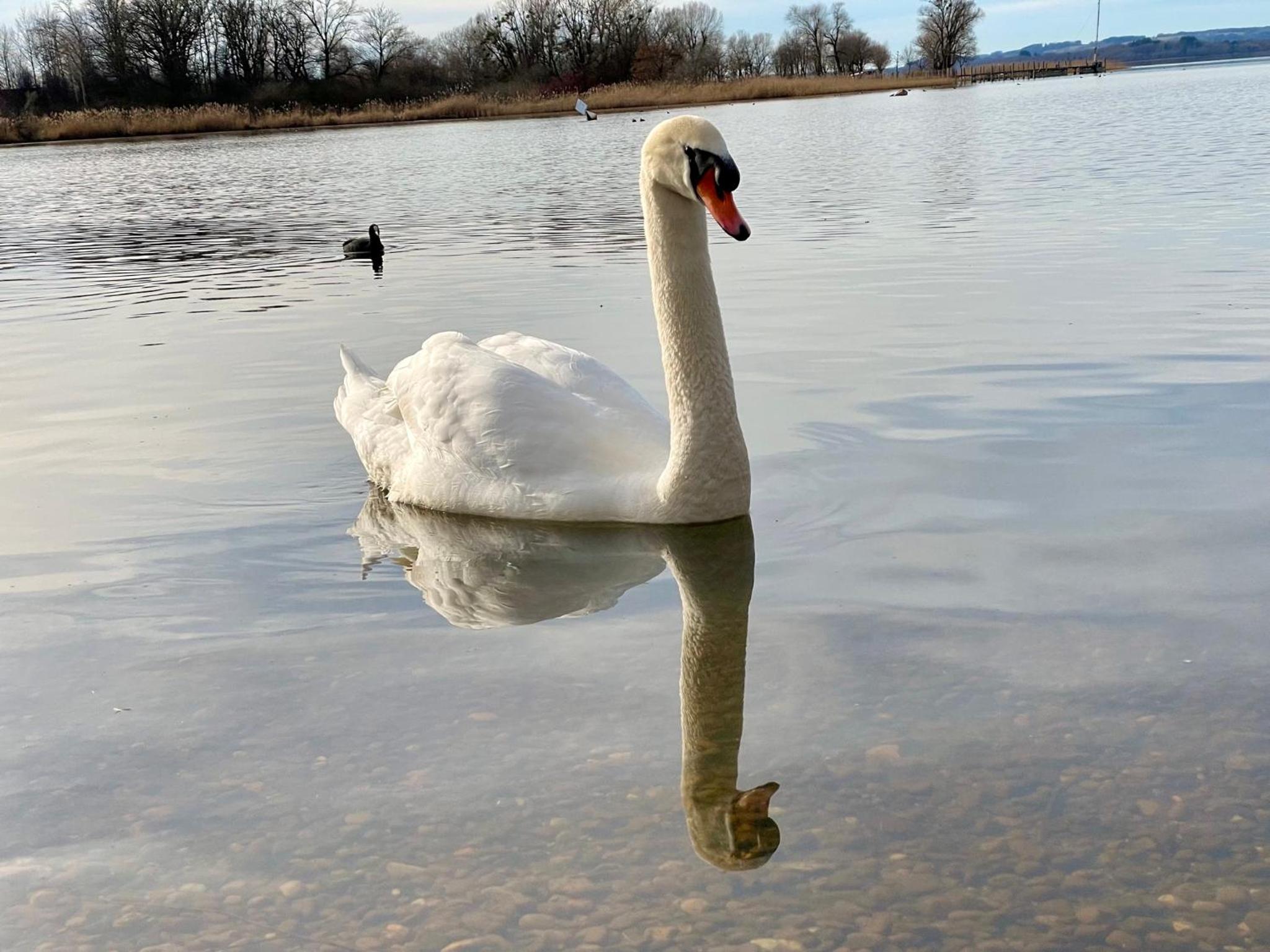 Ferienwohnung am Chiemsee view 2