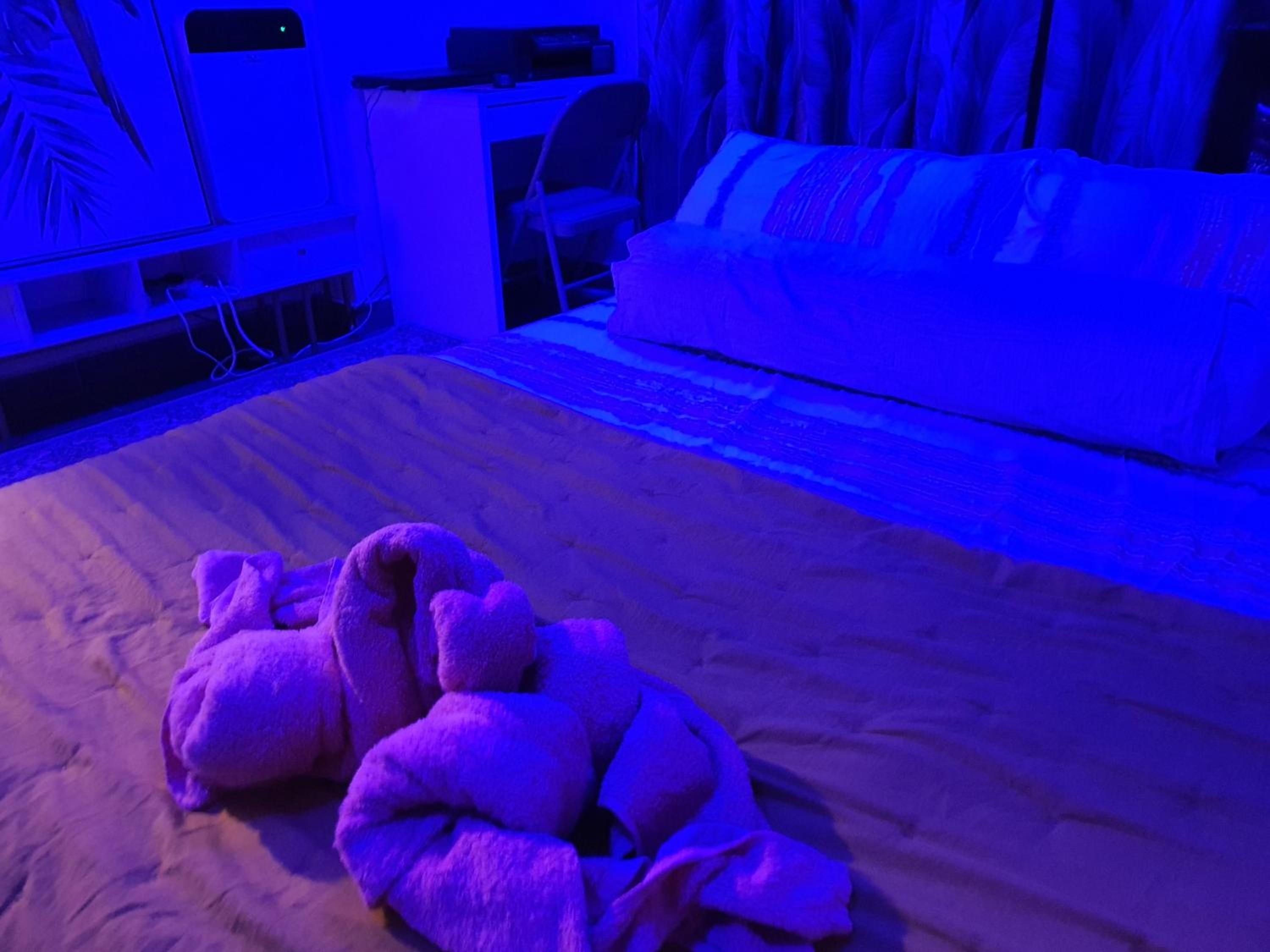CMK TROIKA APARTMEN#Free Netflix photo 6
