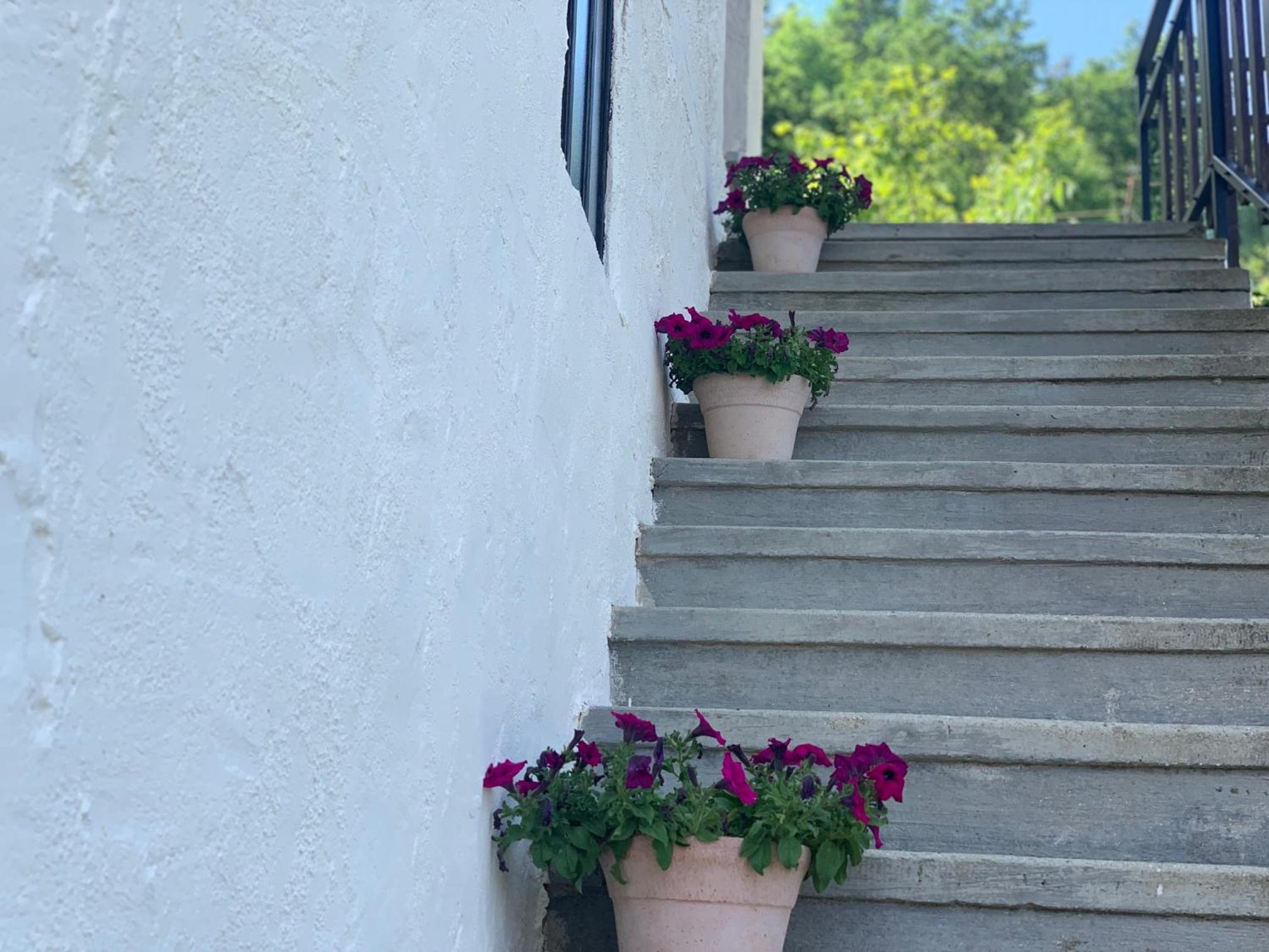 Agriturismo La Collina degli Scoiattoli