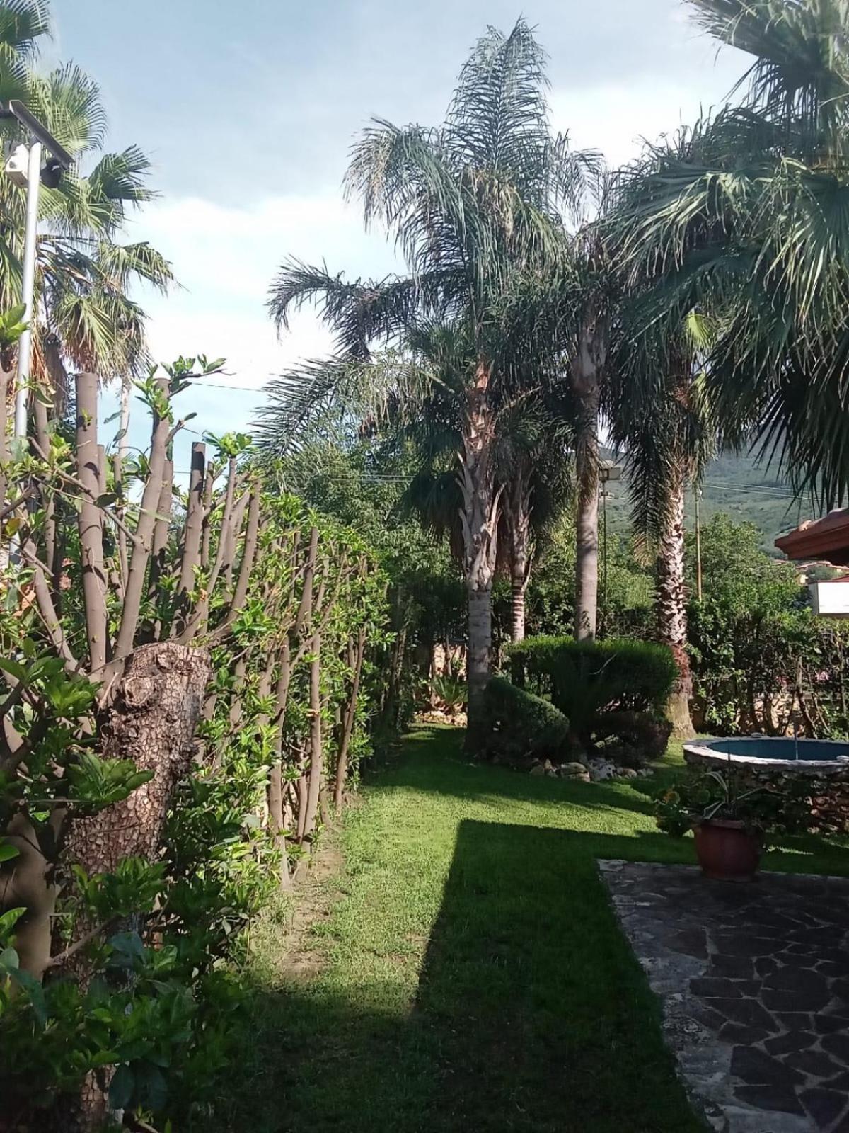 Photo 41