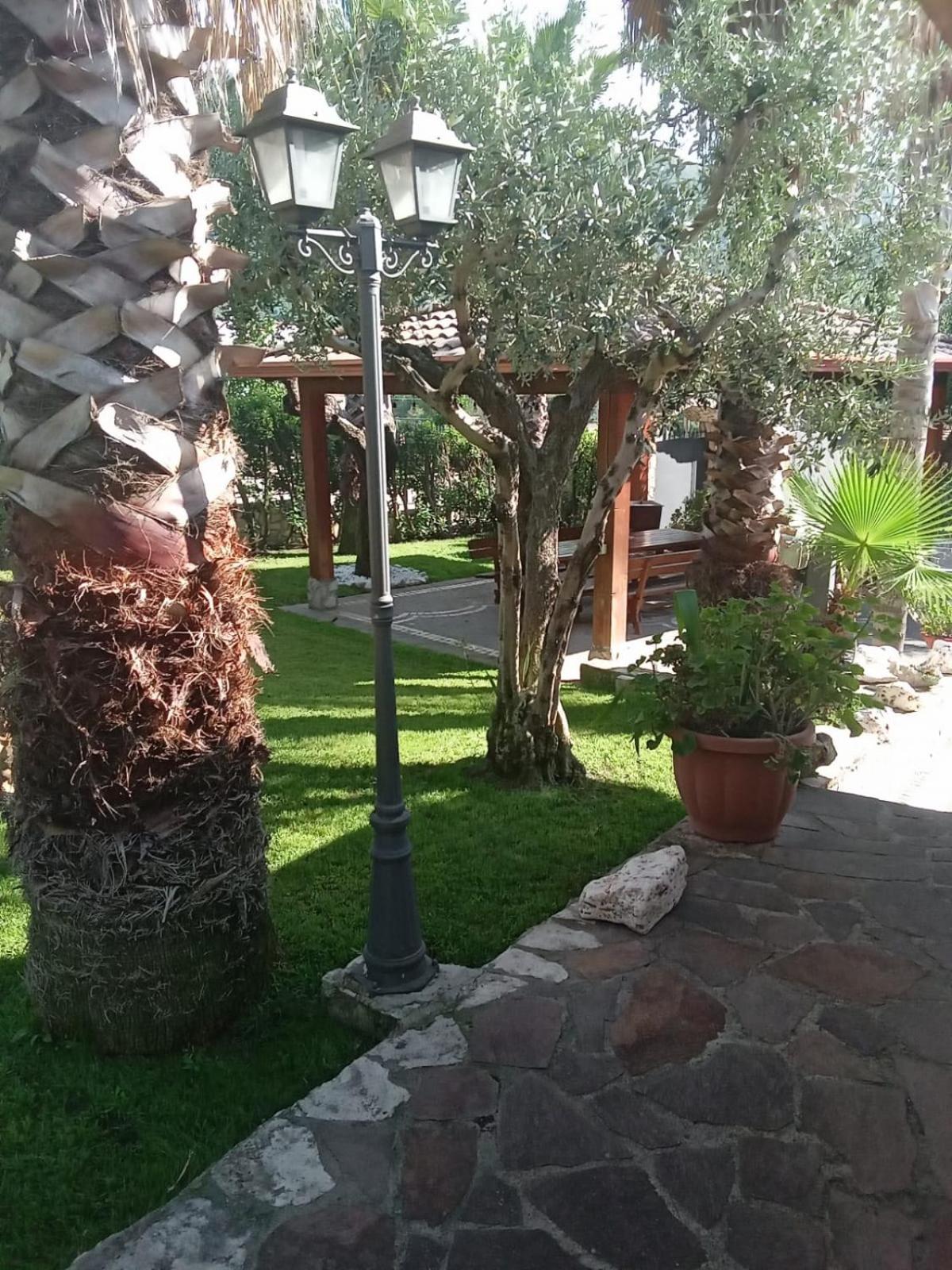 Photo 43