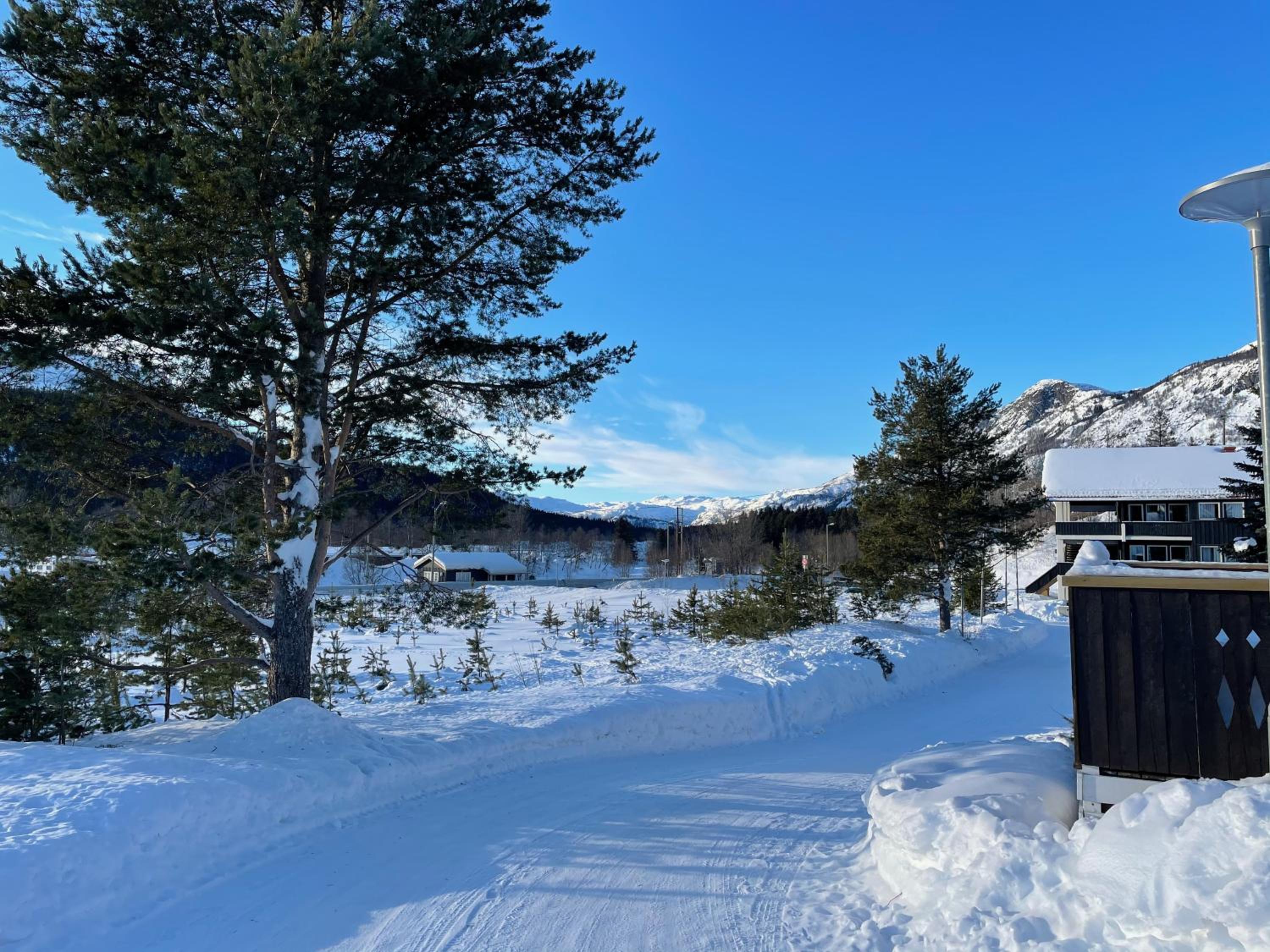 Spacious 2-bedroom holiday apartment - Hemsedal Veslehorn 14 view 5