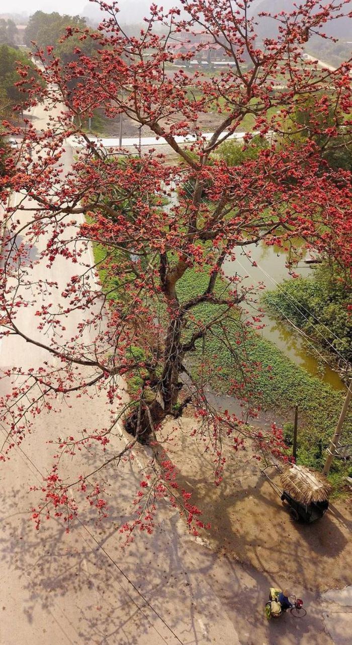 Tam Coc Horizon Bungalow