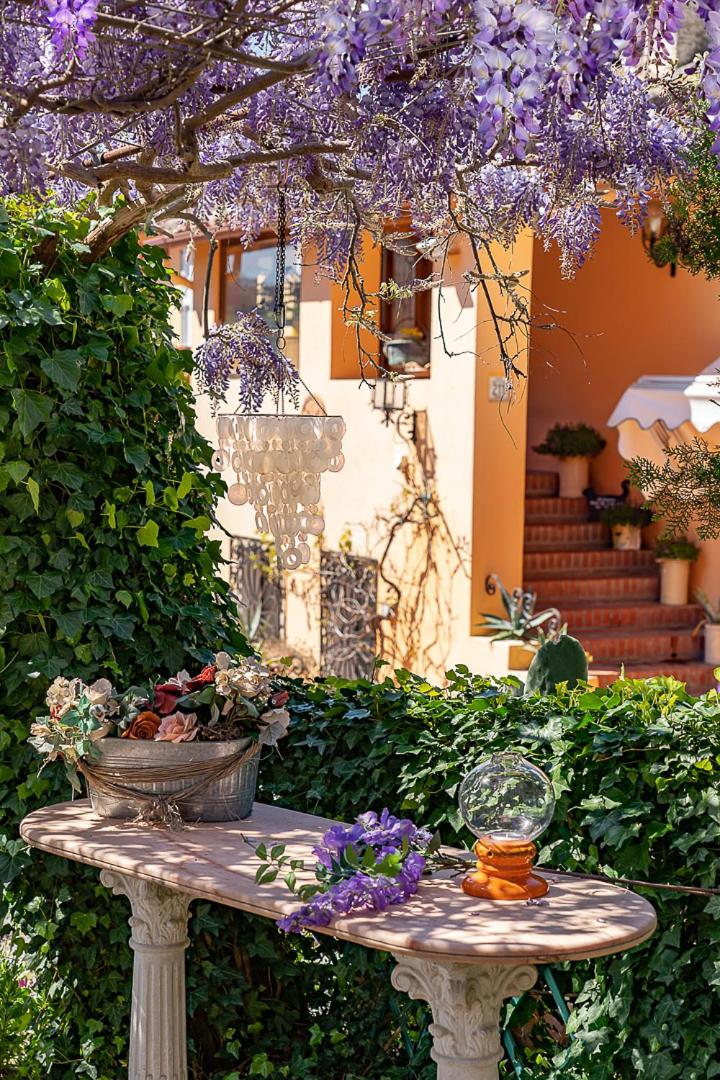 B&B Glicine