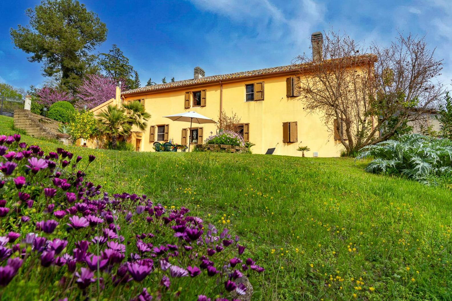 B&B Glicine