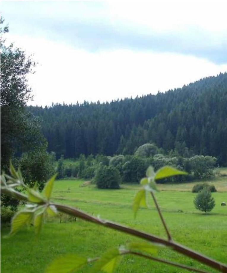 Ferienhaus Schlagintweit