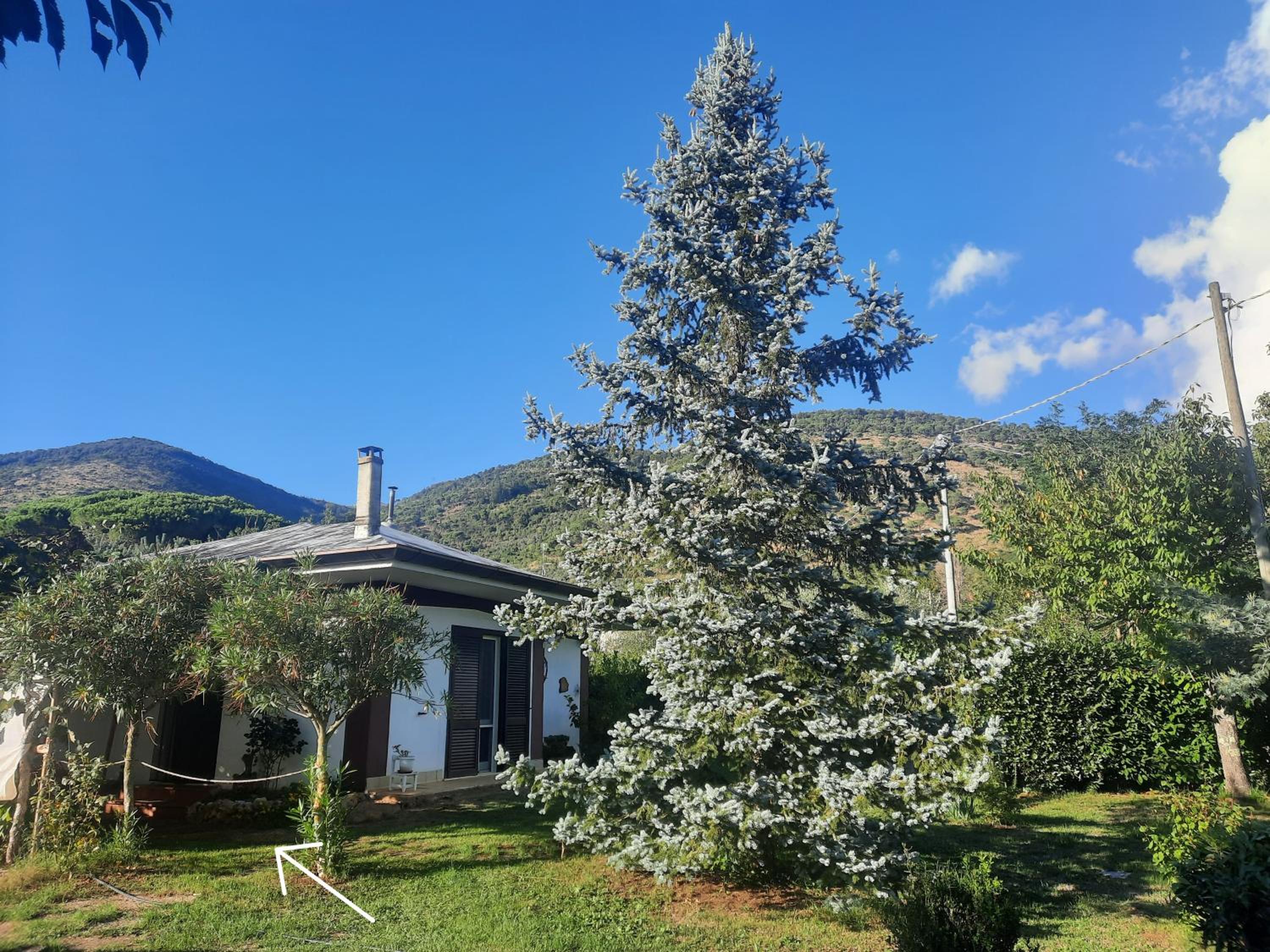 Casetta in Collina photo 2