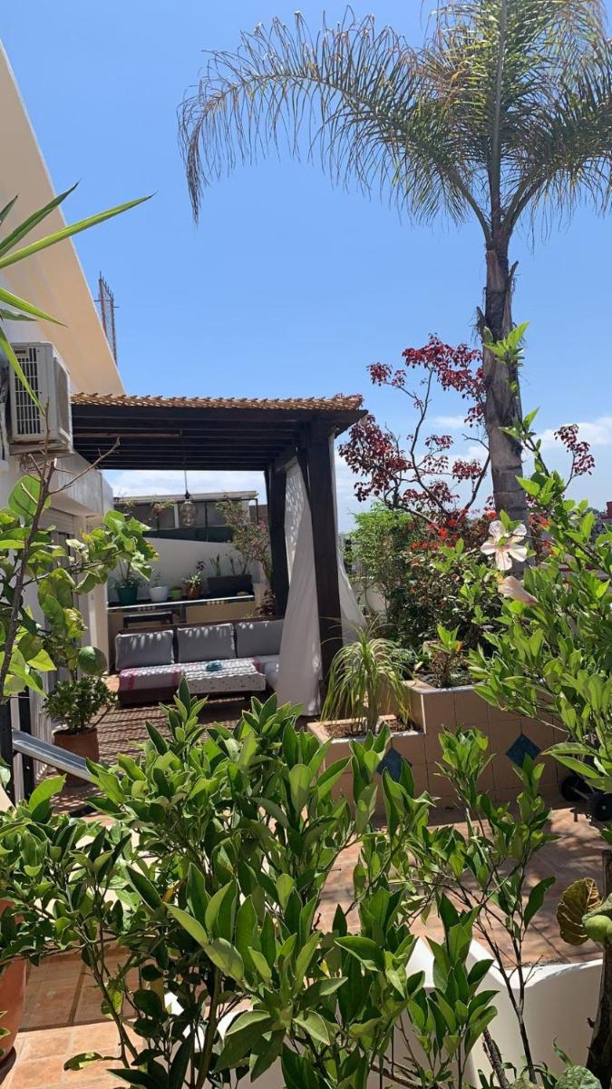 Hotel Au Bord Du Palmier