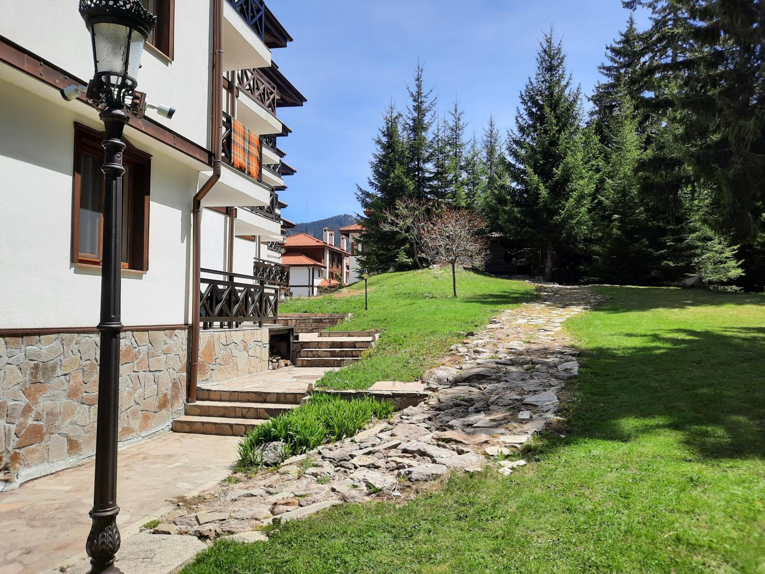 Photo 44