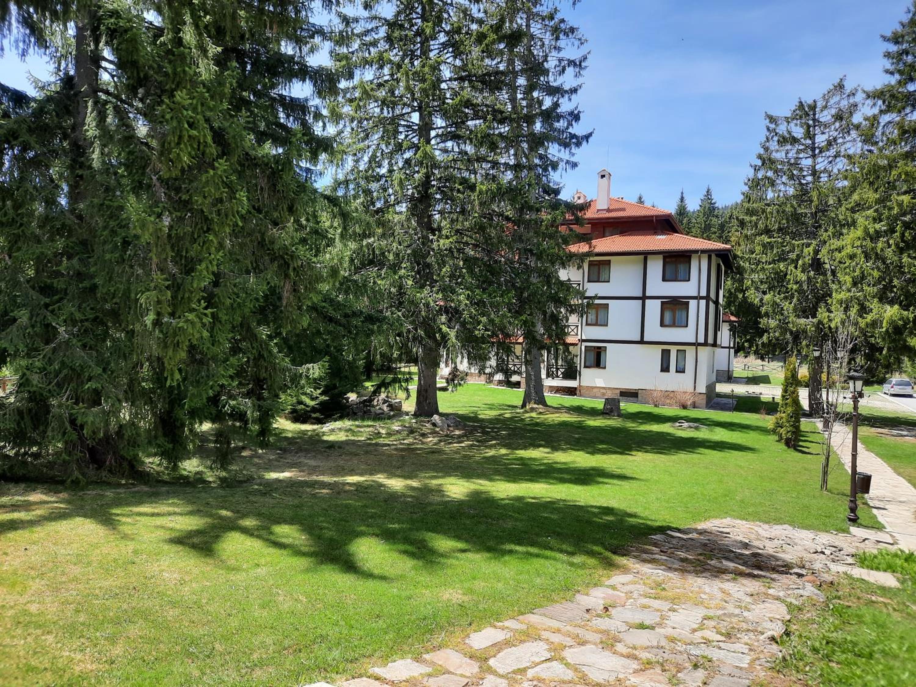 Photo 29