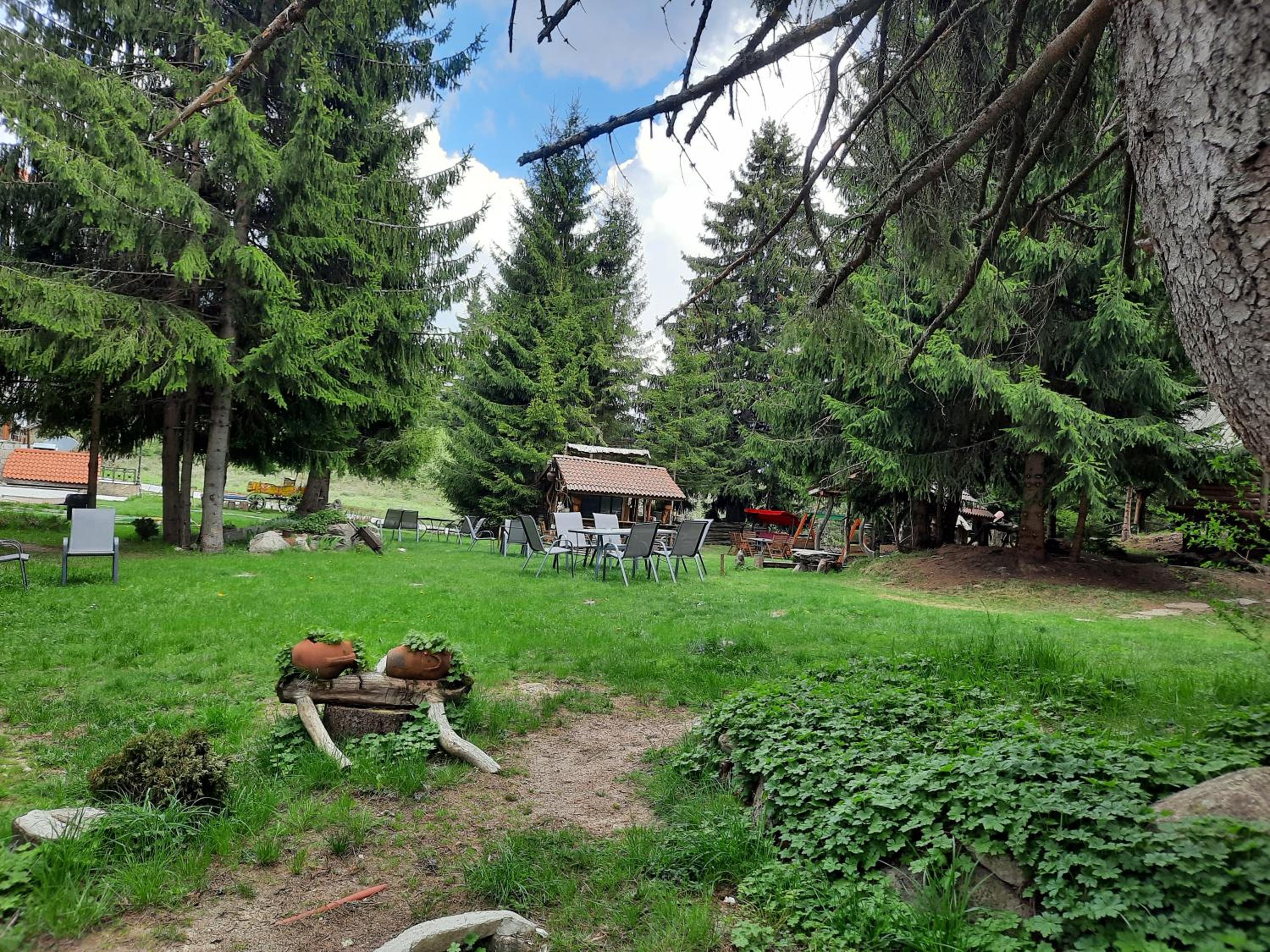 Photo 42