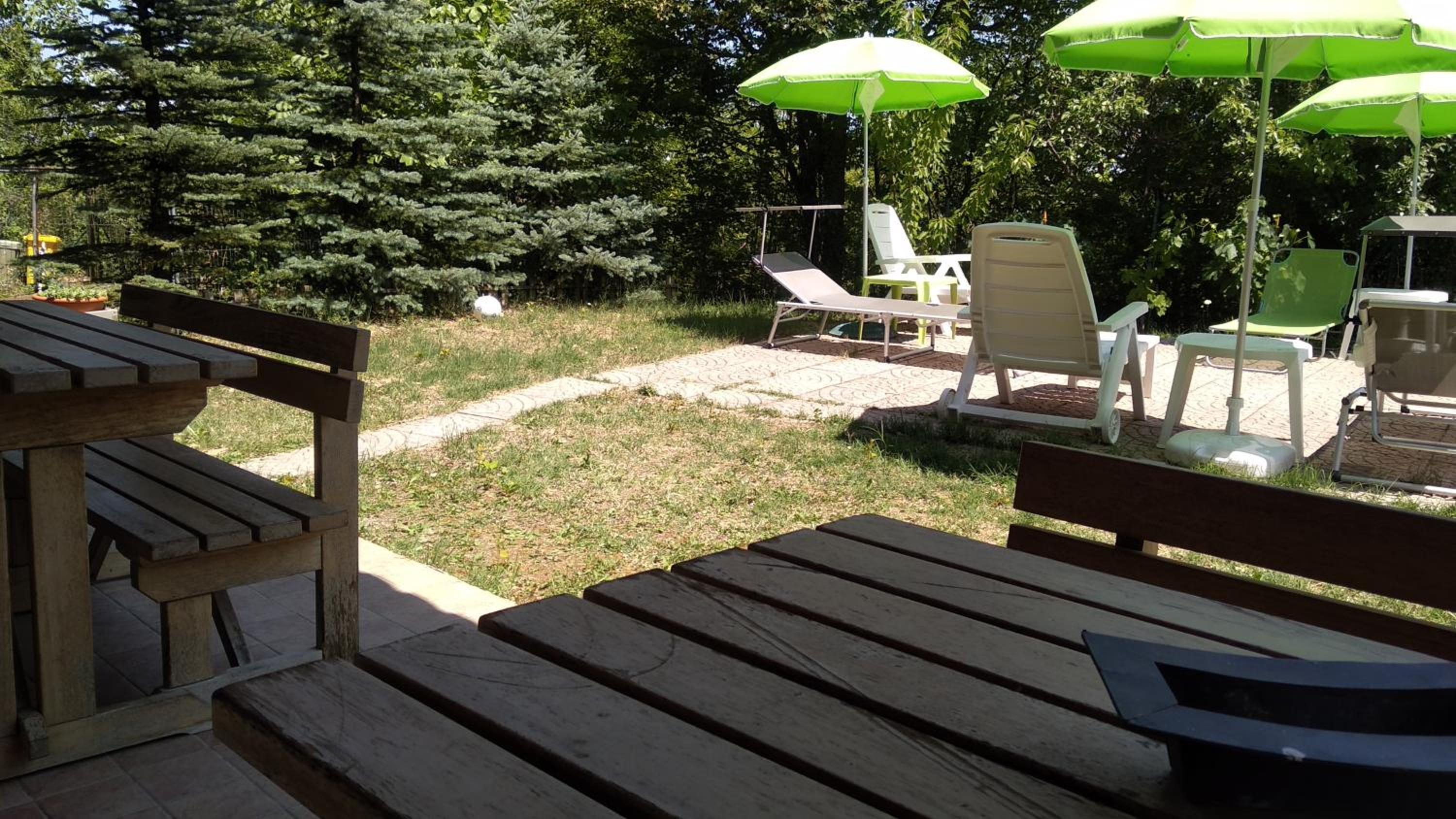 Photo 19