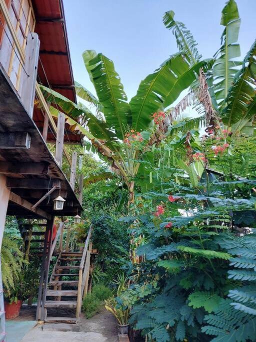 Hospedaria Recanto da Paz