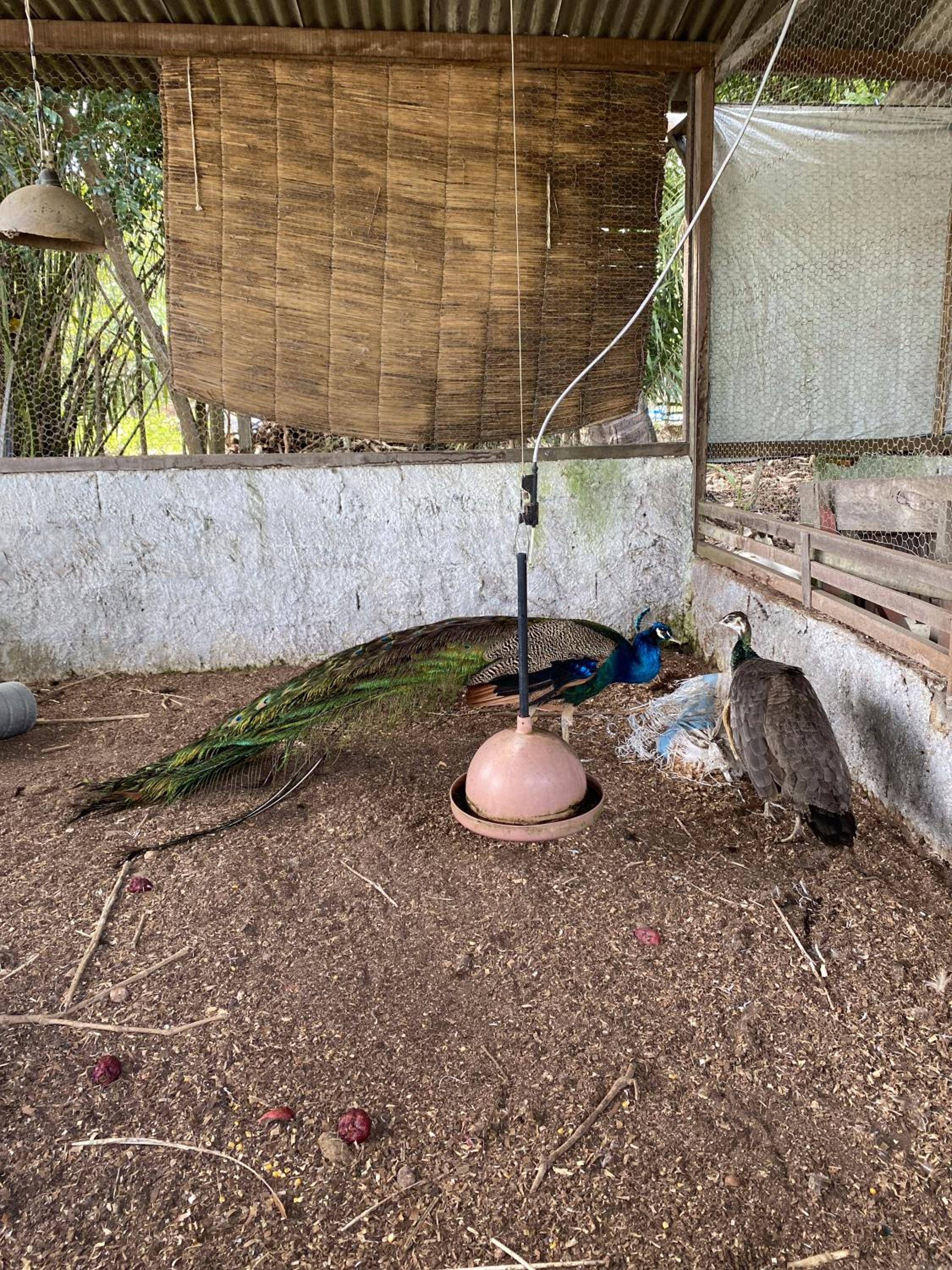 Hospedaria Recanto da Paz