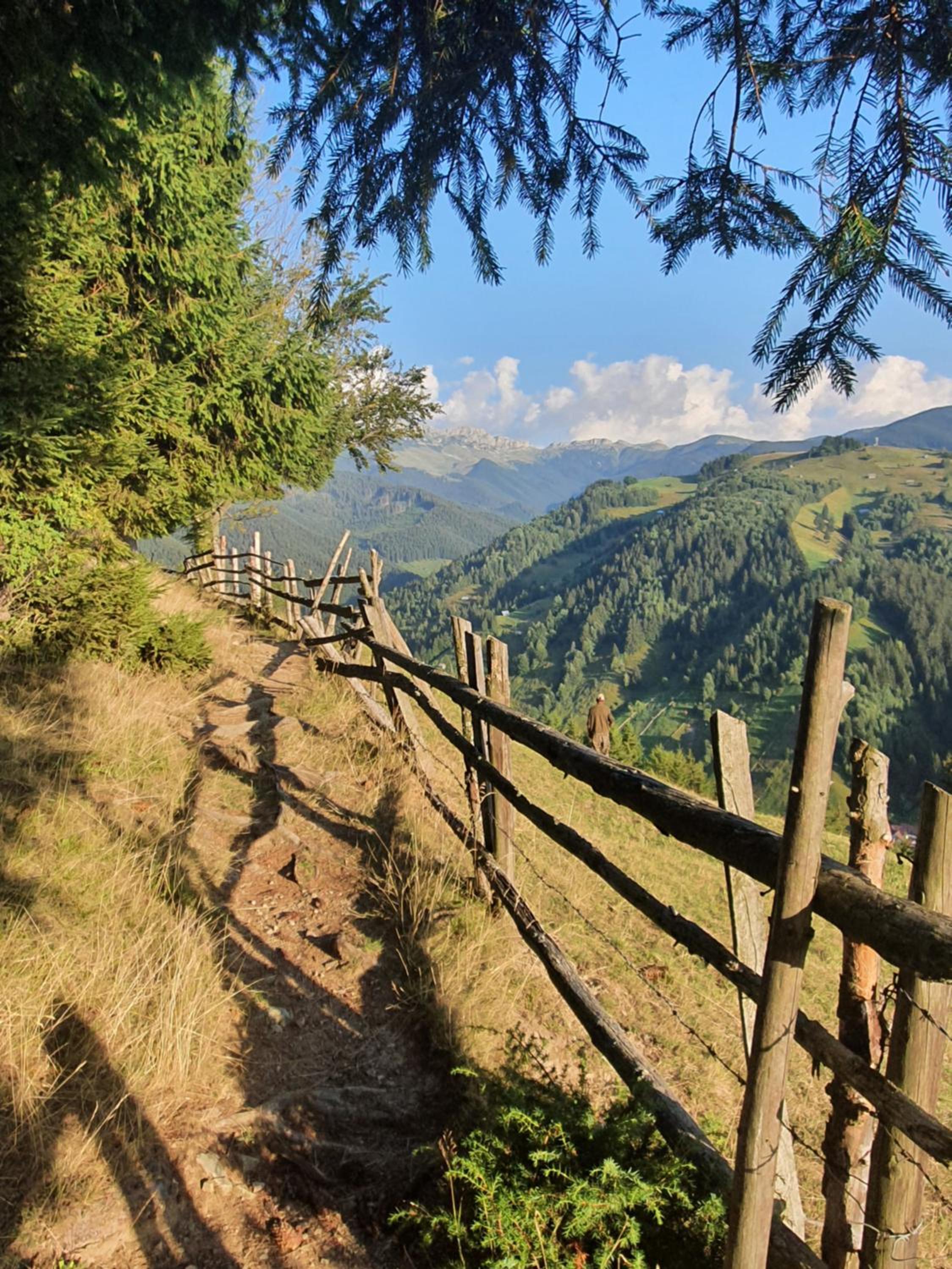 ALEGRIA - MOIECIU DE SUS view 4