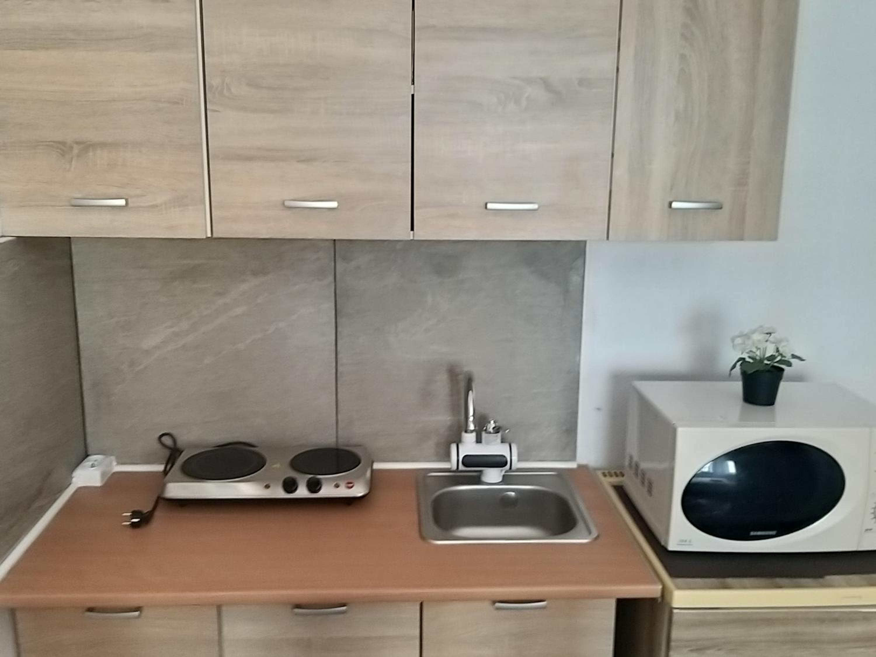 Apartment for Guests (2) view 4