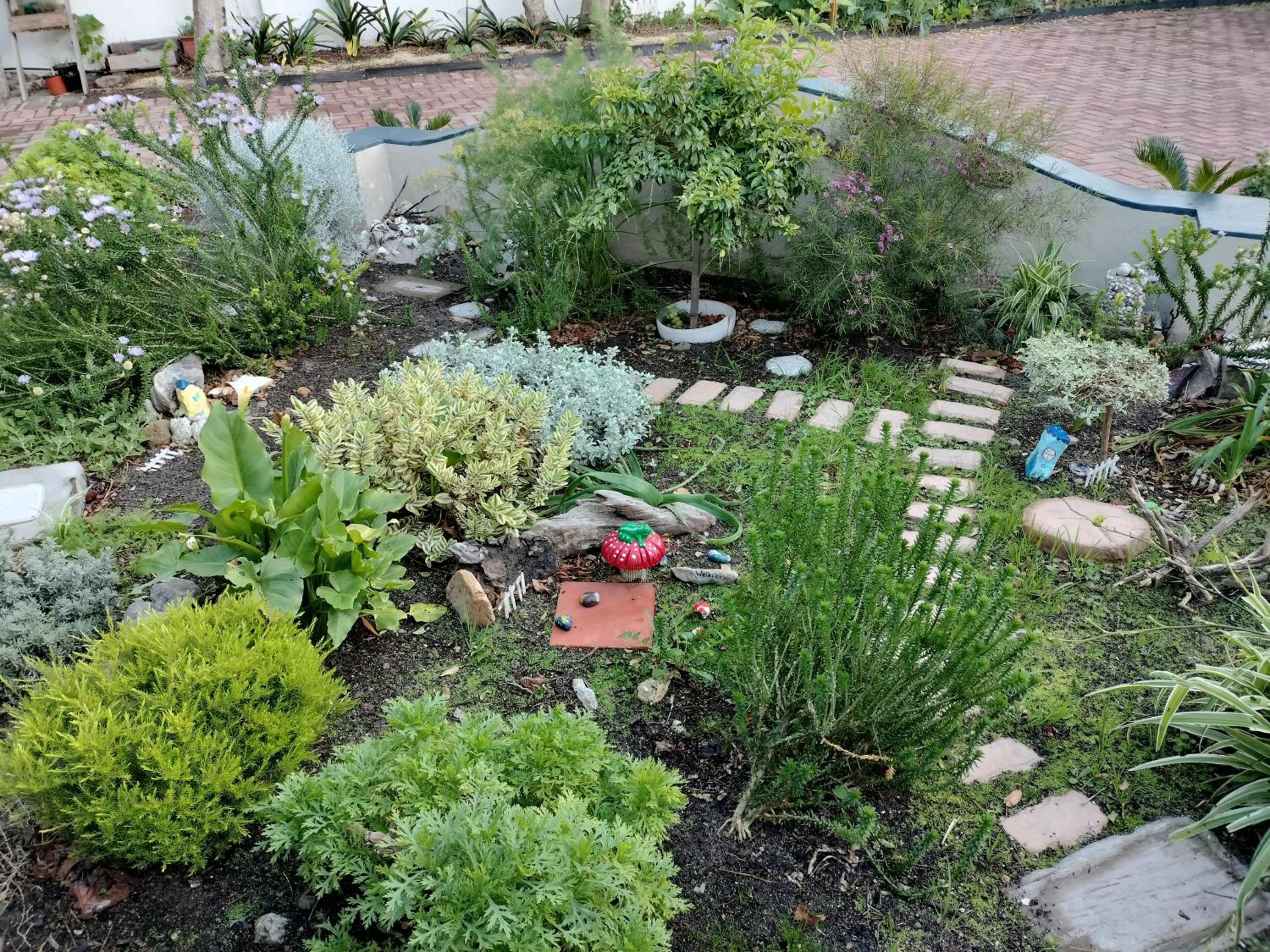 Photo 18