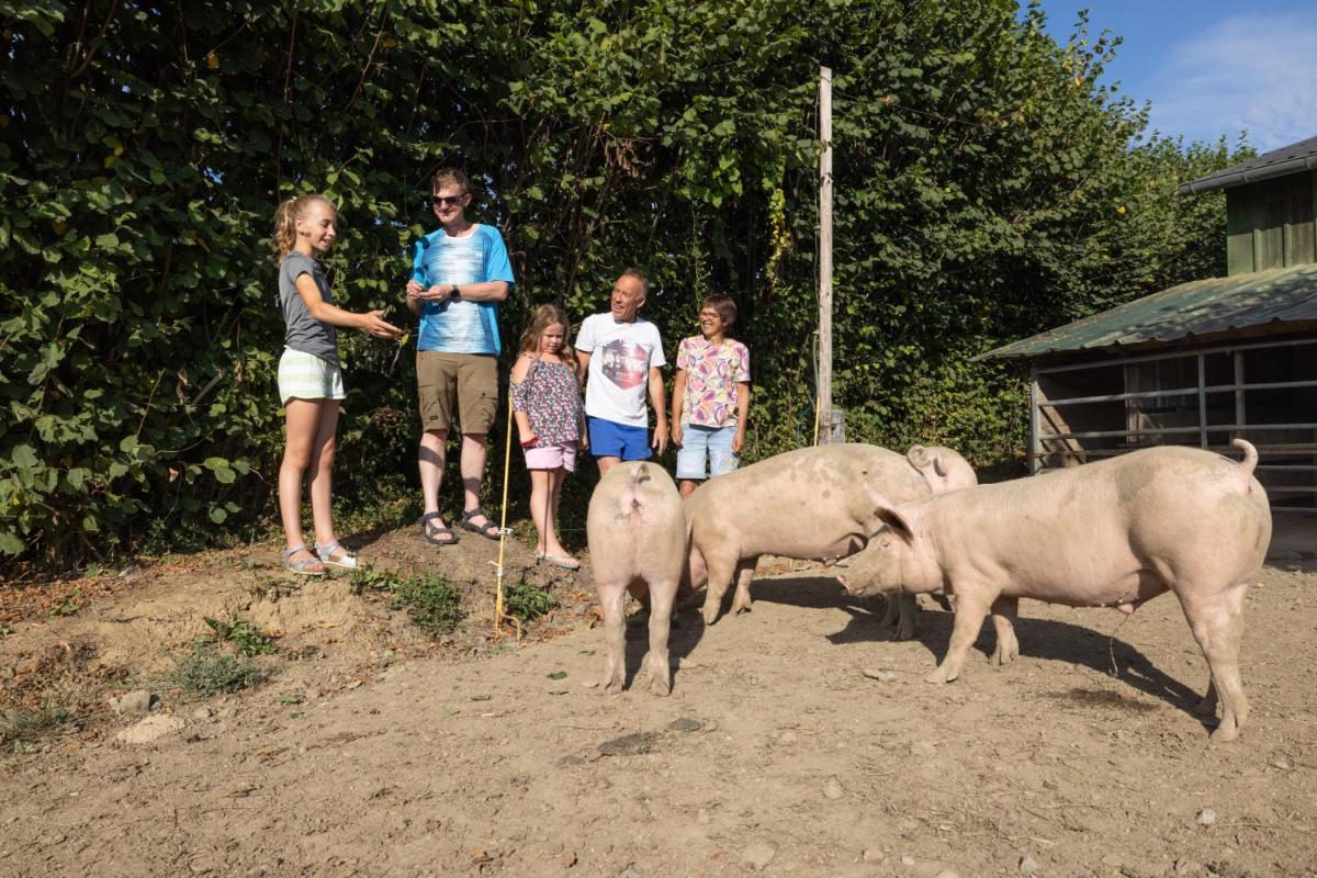 Photo 28